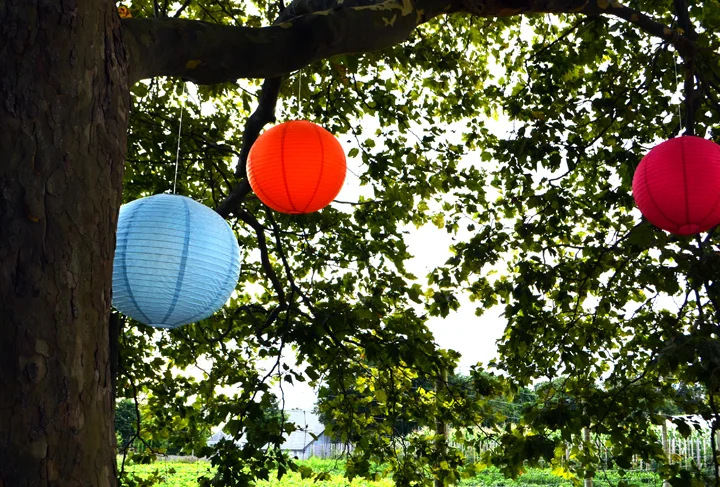 color balls.jpg