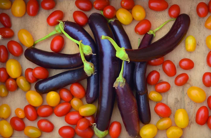 Eggplantcherrytomato.jpg