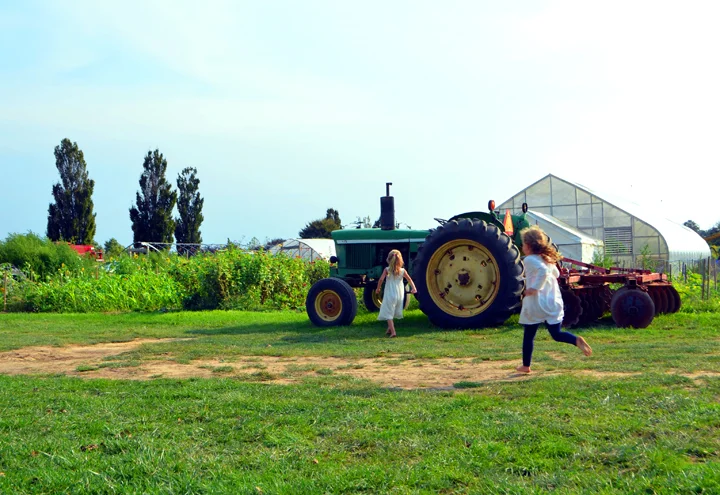 Outstanding in the Field: EECO.jpg