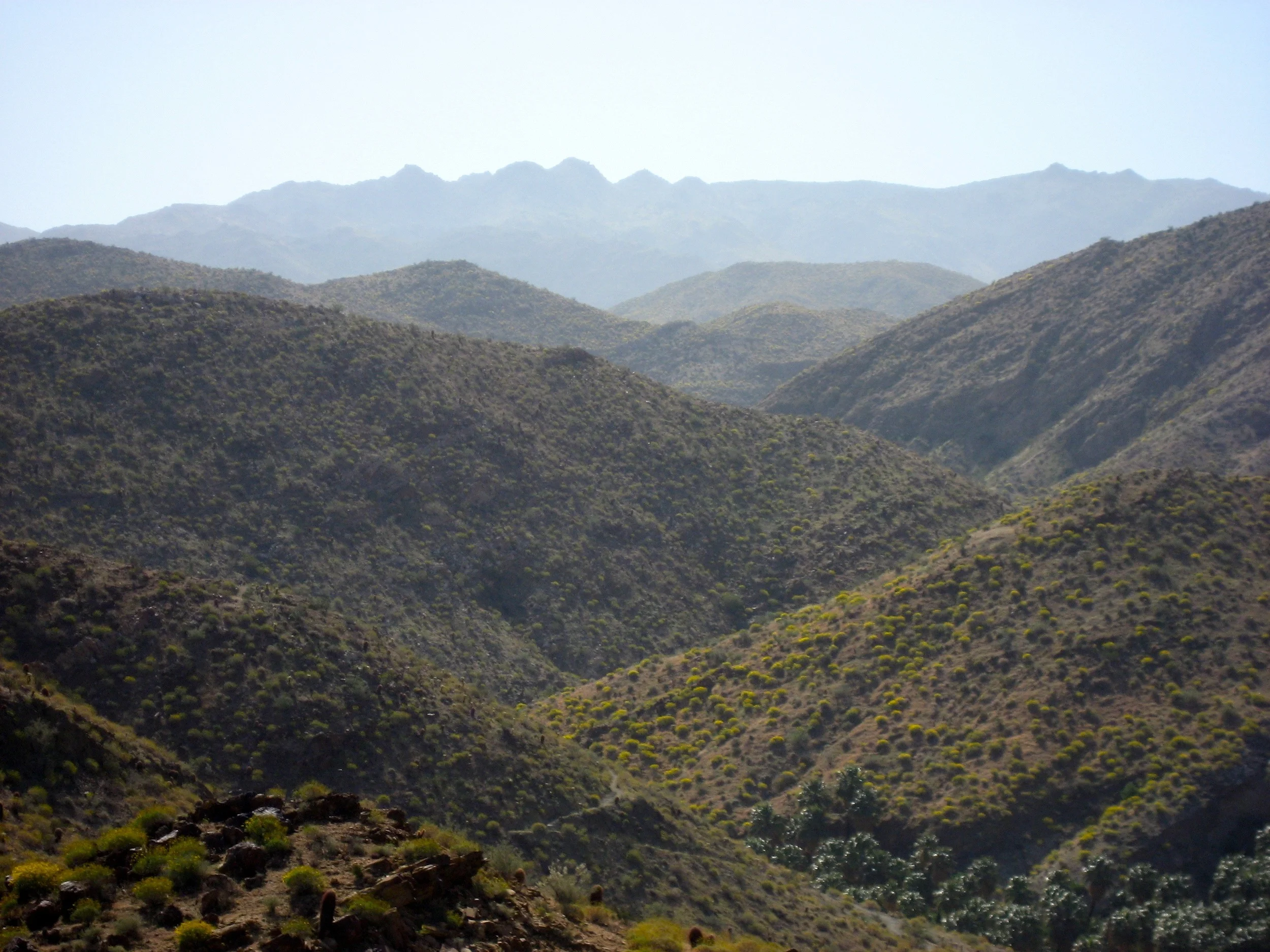 Palm Desert, CA