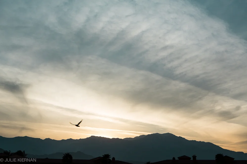33:2 Sunset