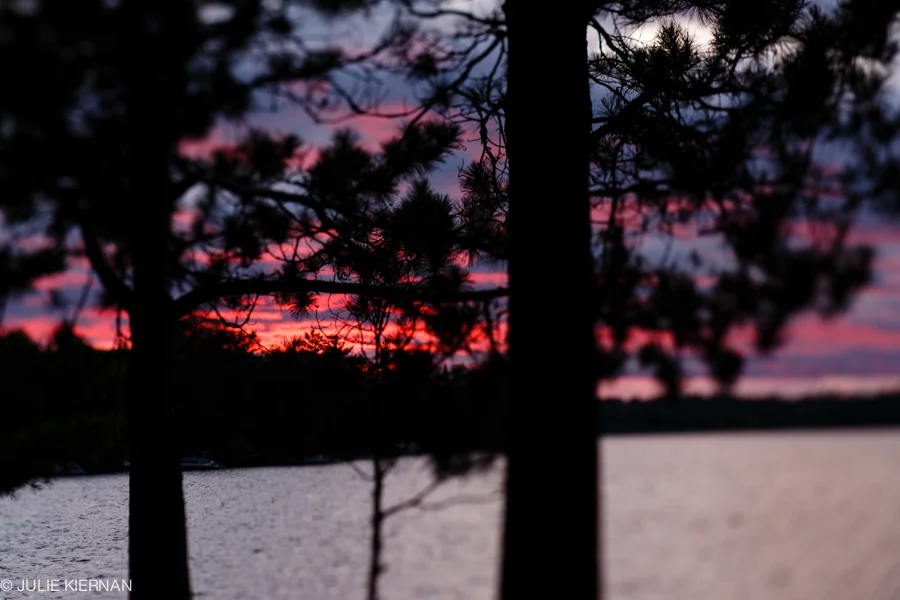 47-1-red-Blog-Lensbaby-80-8038.jpg