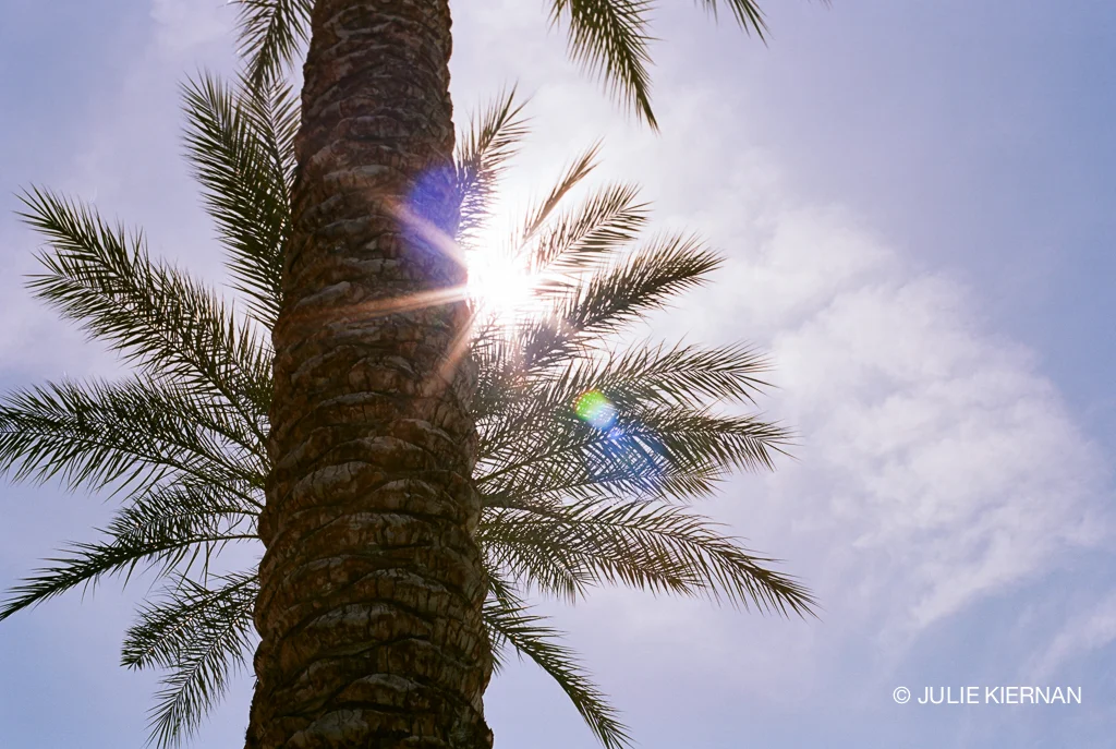 Abundant Sunshine