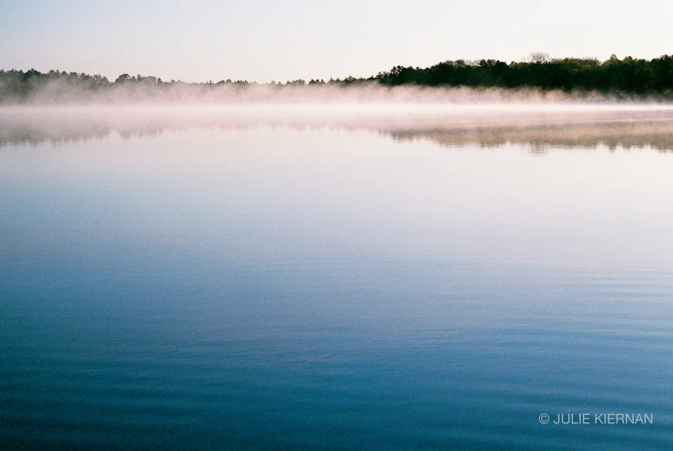 Languid (film)