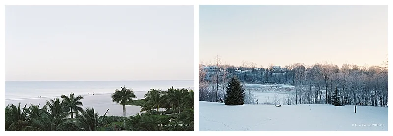 Contrast of sunrise on Marco Island and then home to my back yard