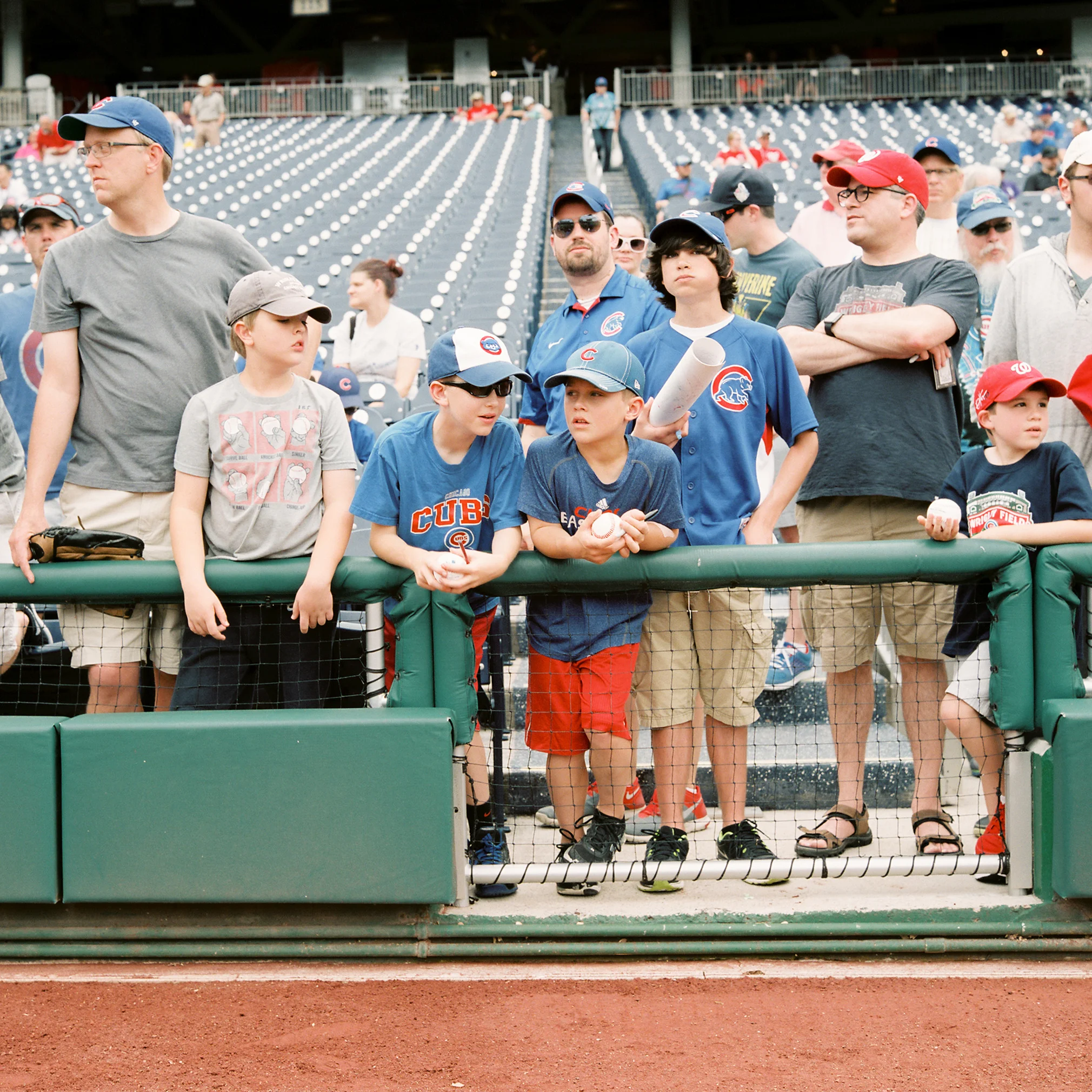 CubFans.jpg