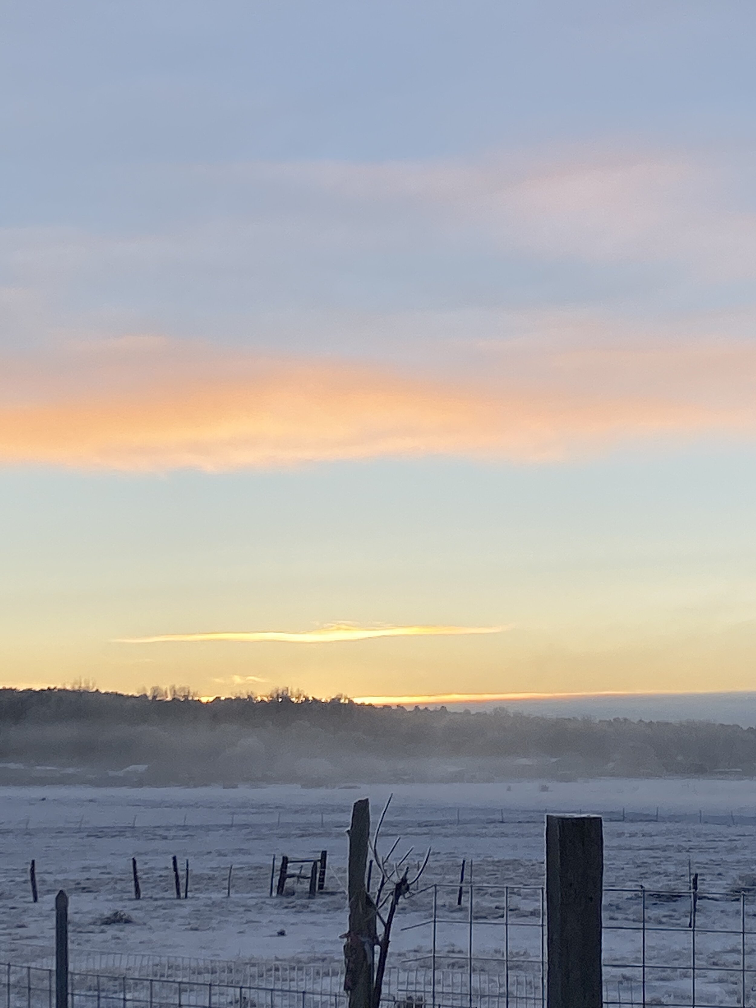 Wrapping up 2019, and Happy 2020!