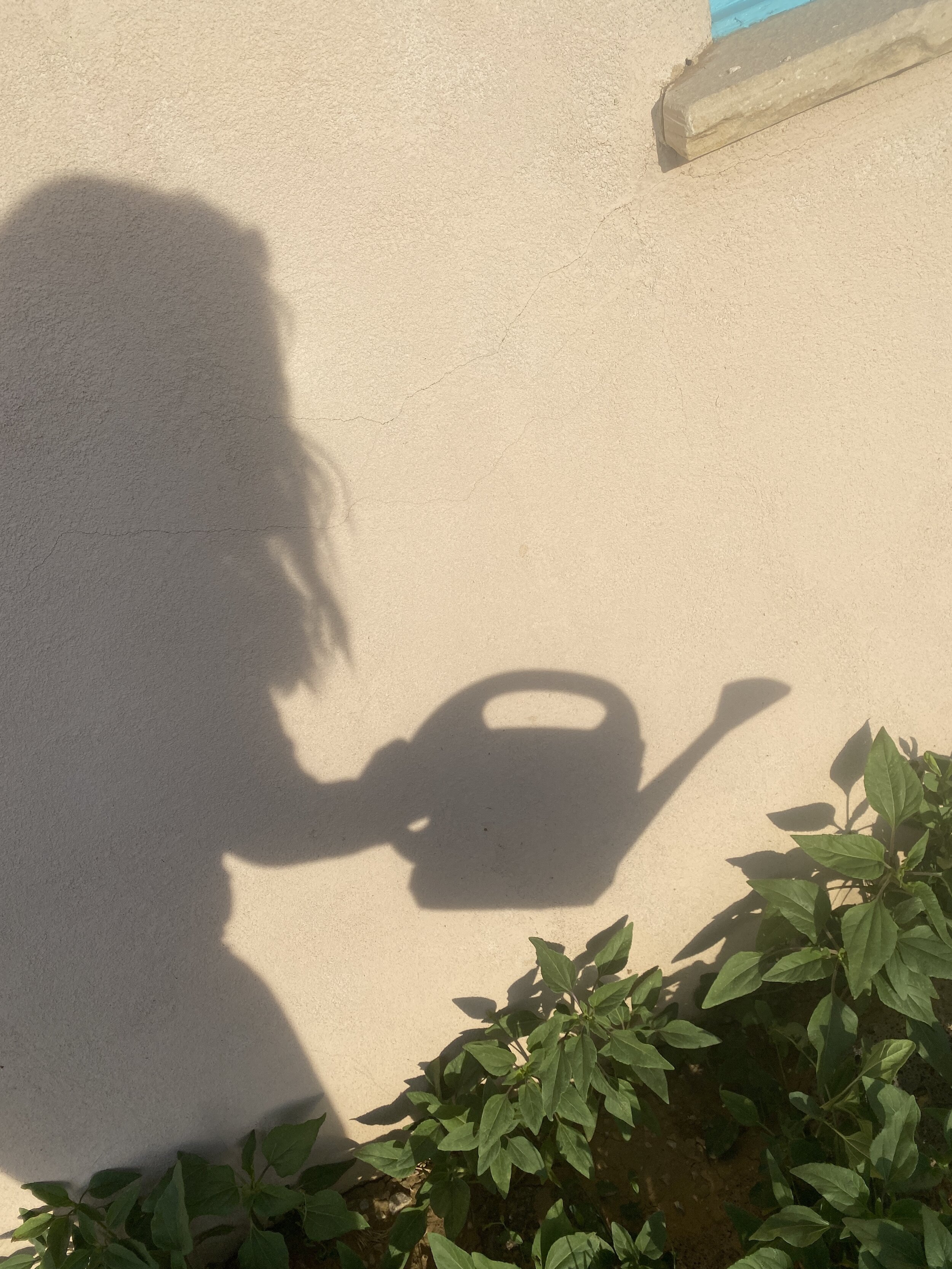 Reflecting on the Shadows of May 2020