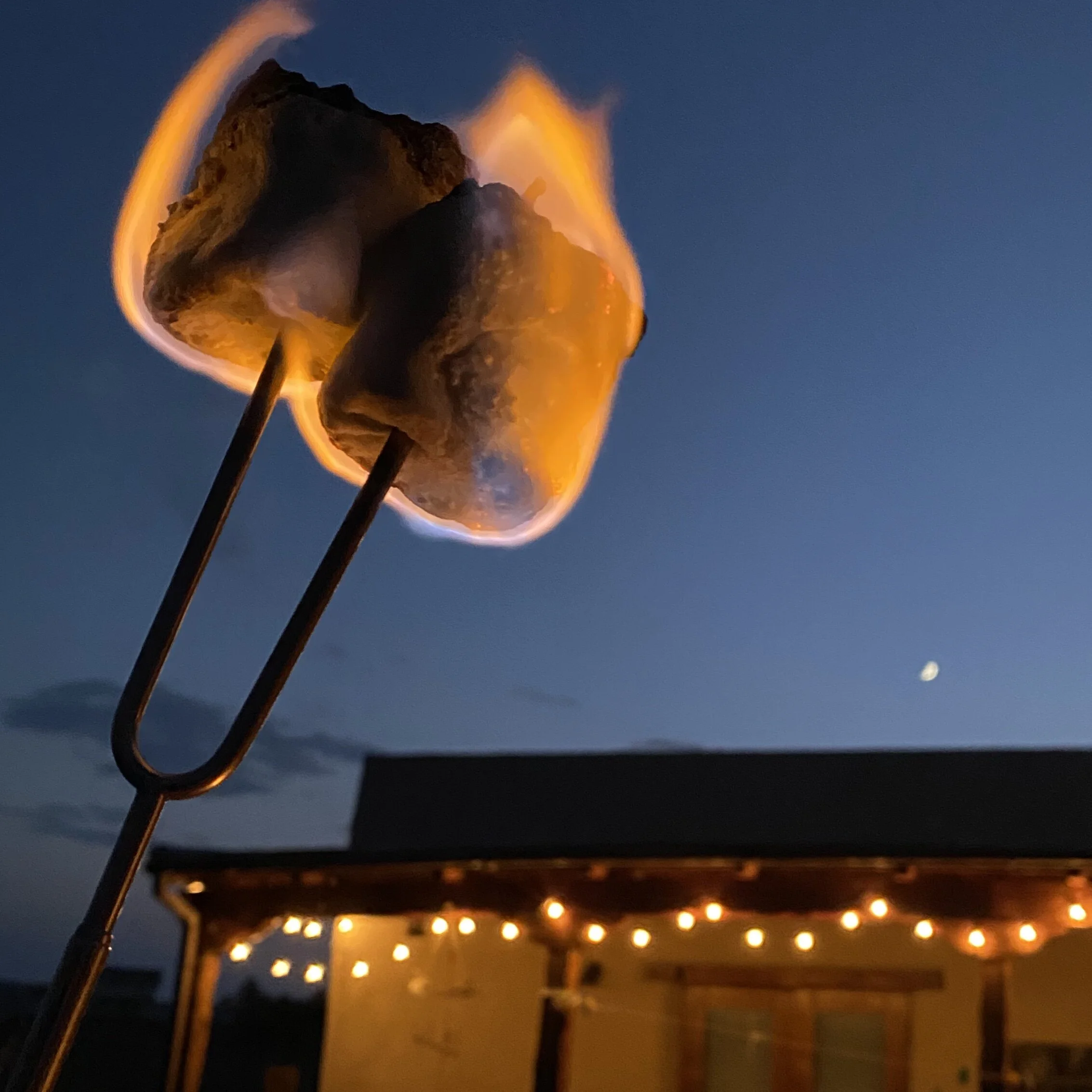 Gifts from the sky and earth