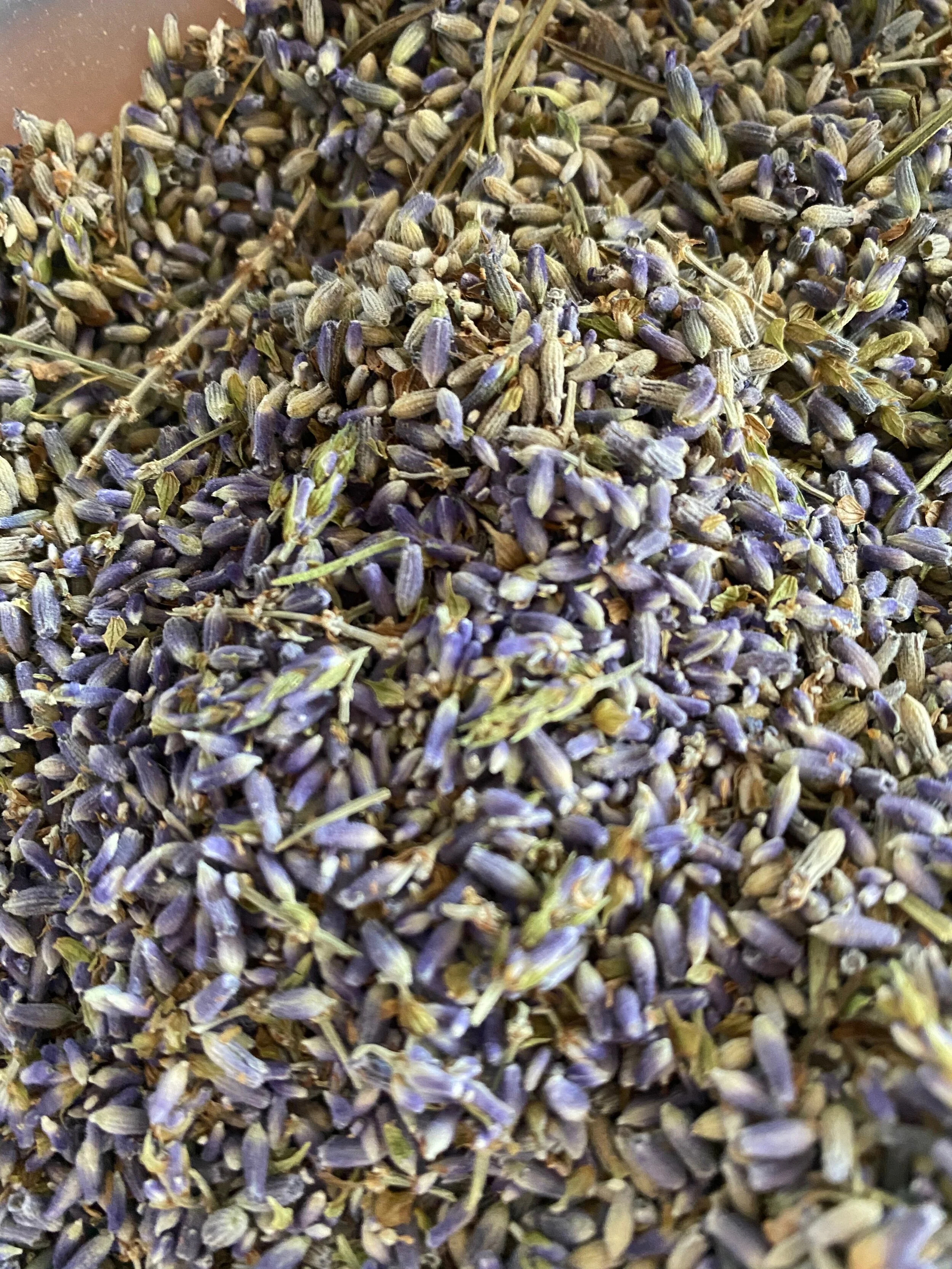 Lovely Lavender