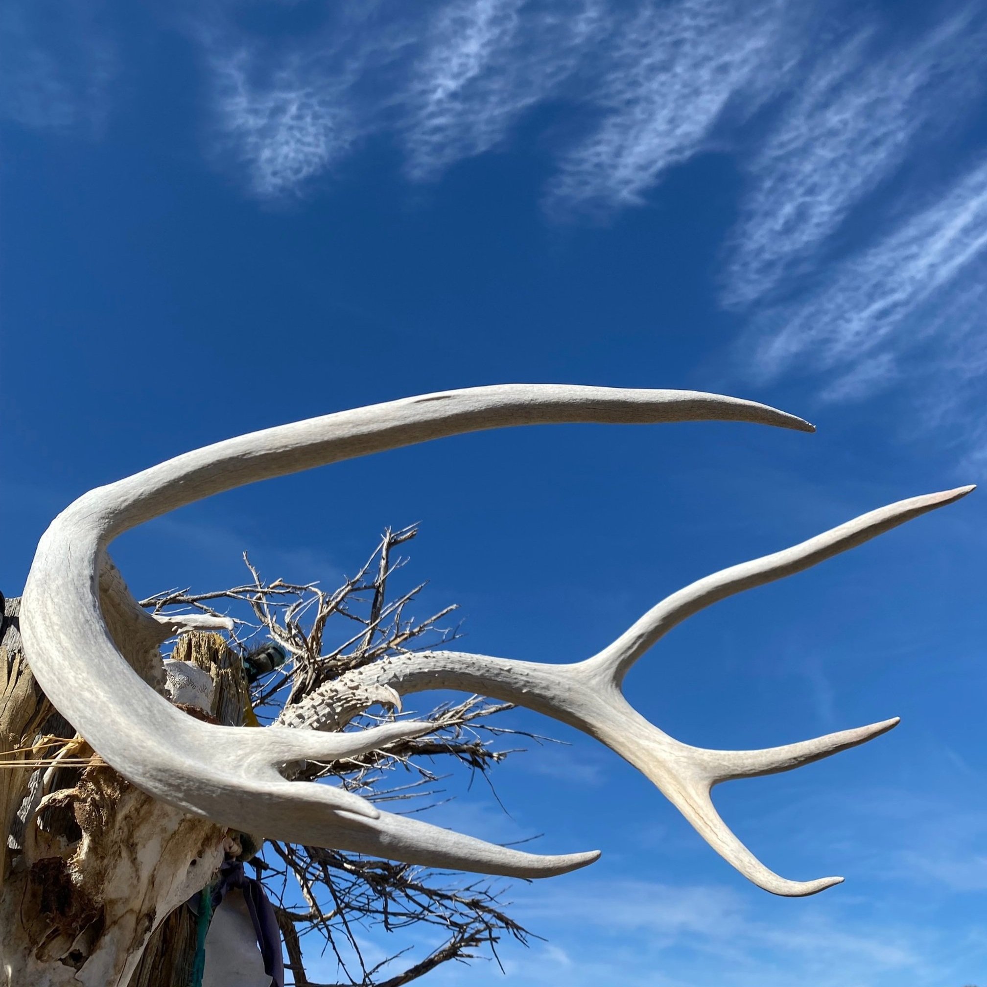 Marching into Spring