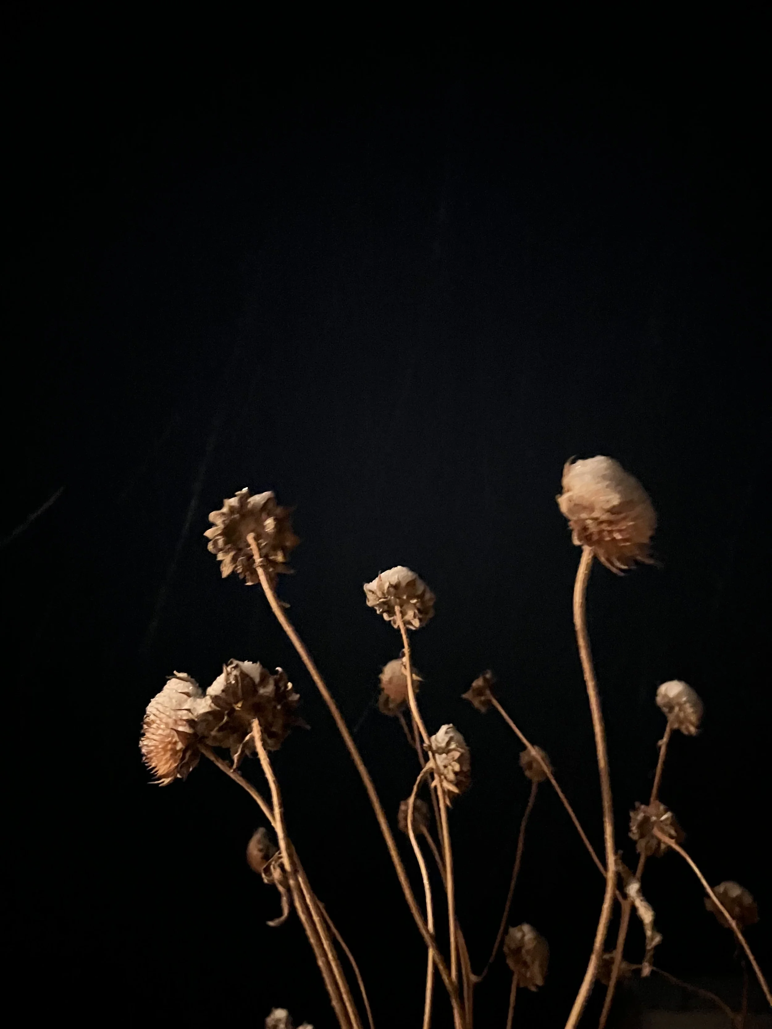 A Chilly and Challenging November