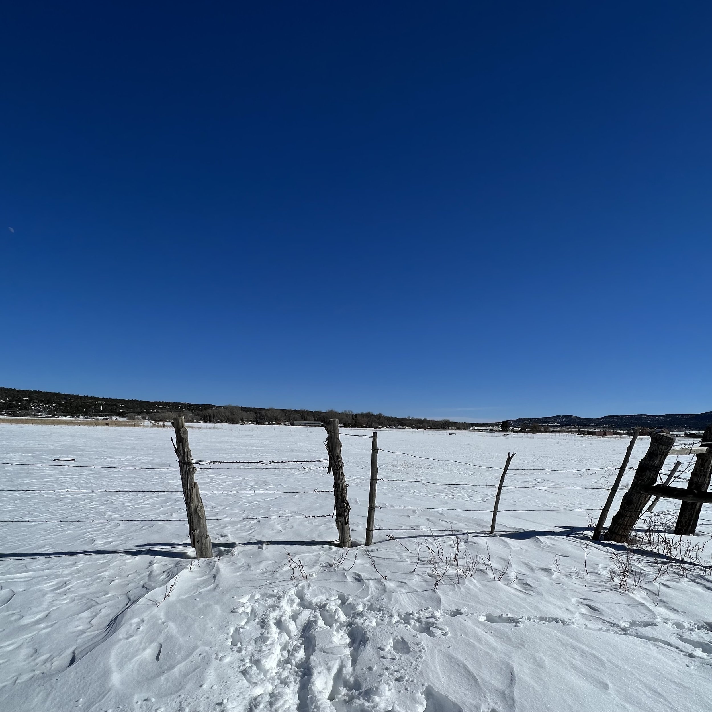 A January Covered with Snow