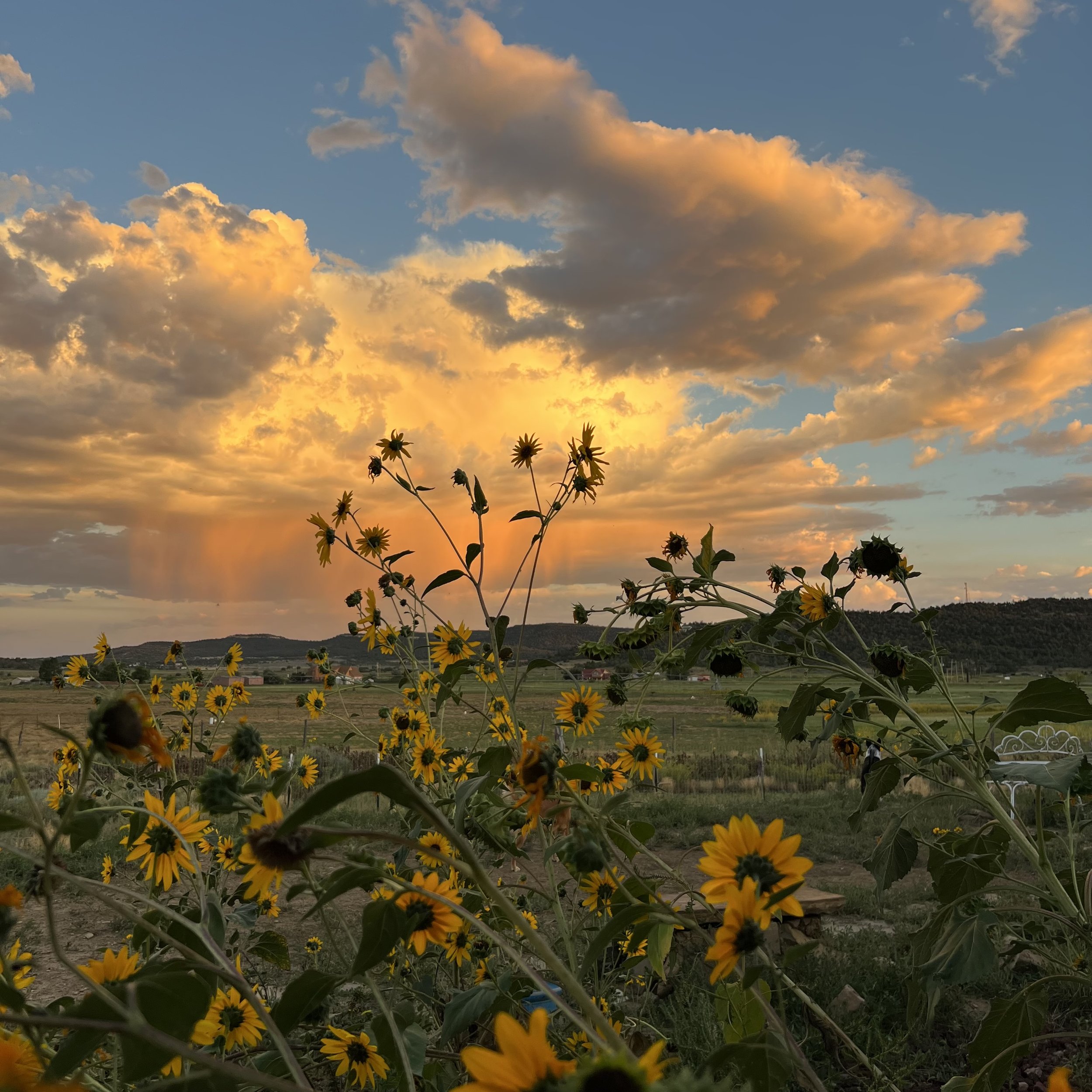 Back in the Saddle Again