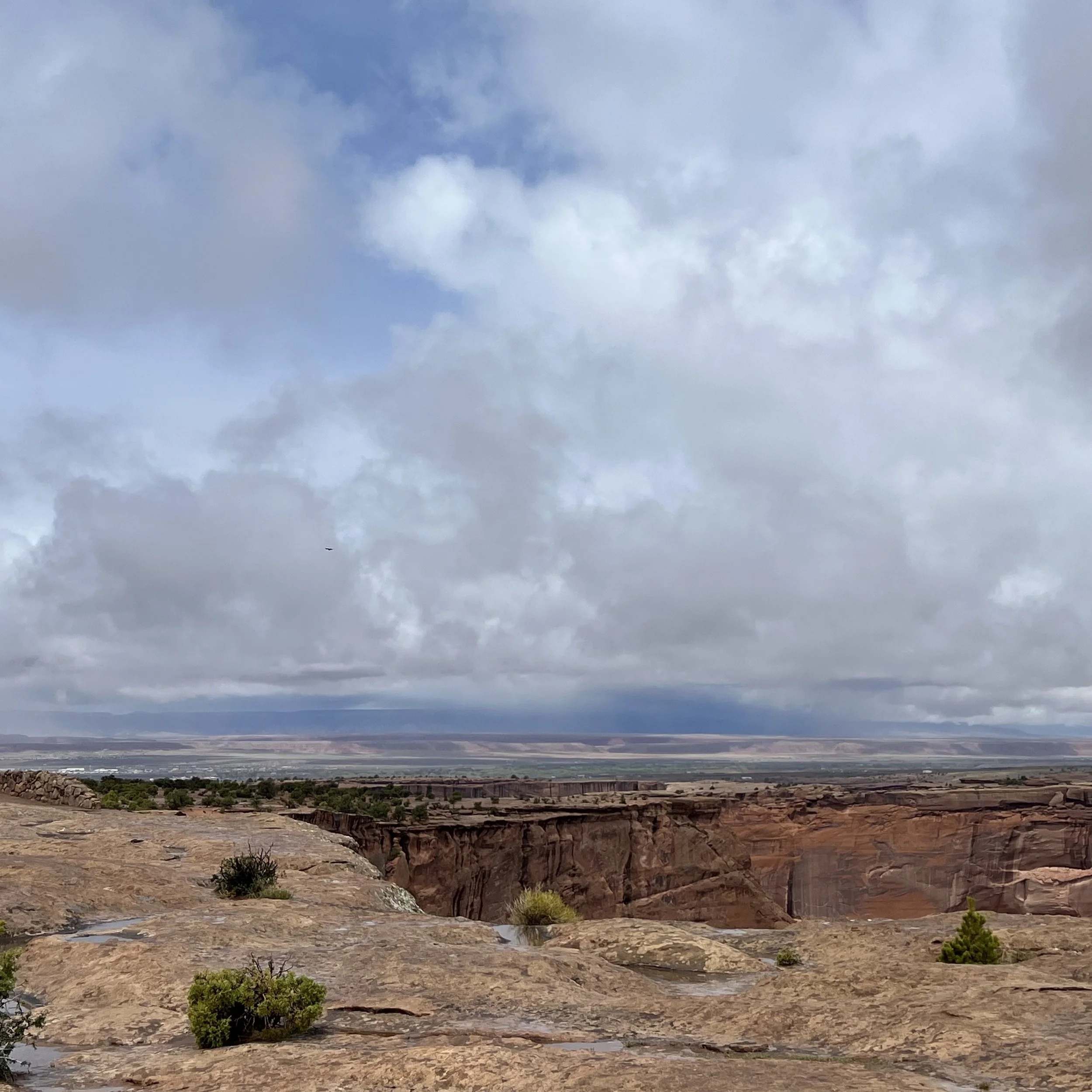 April, Come She Will