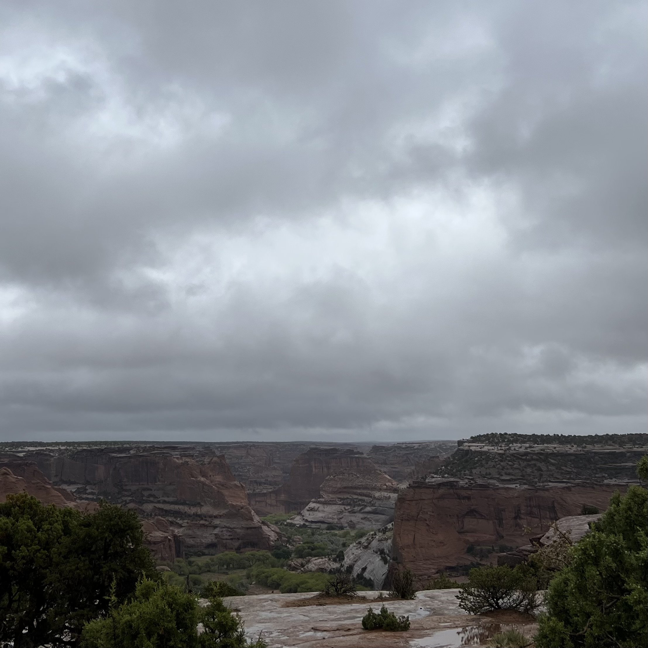 IMG_1500.jpeg