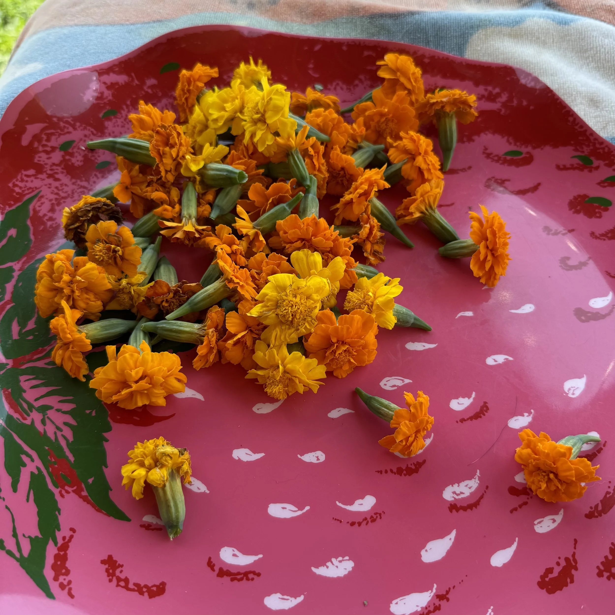 In the blink of an eye, July went by...