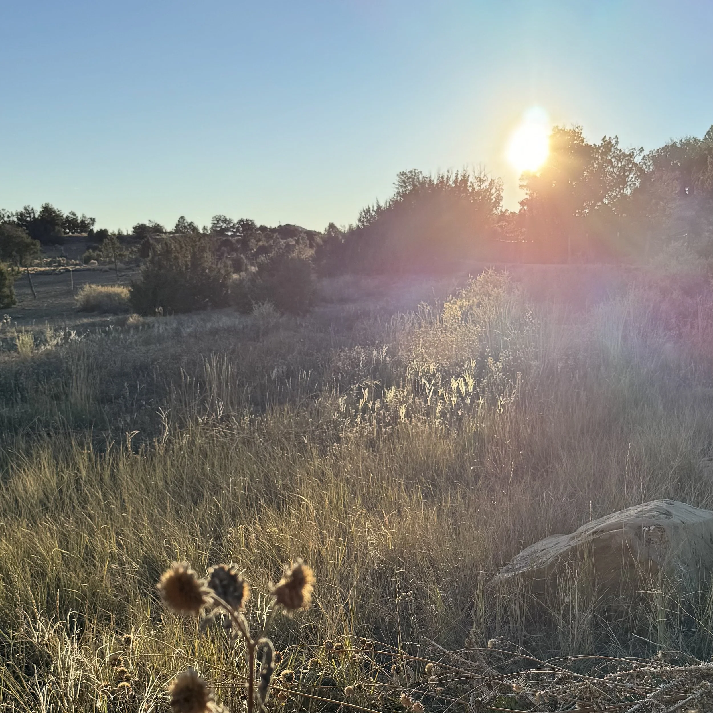 October Afternoon (haiku)