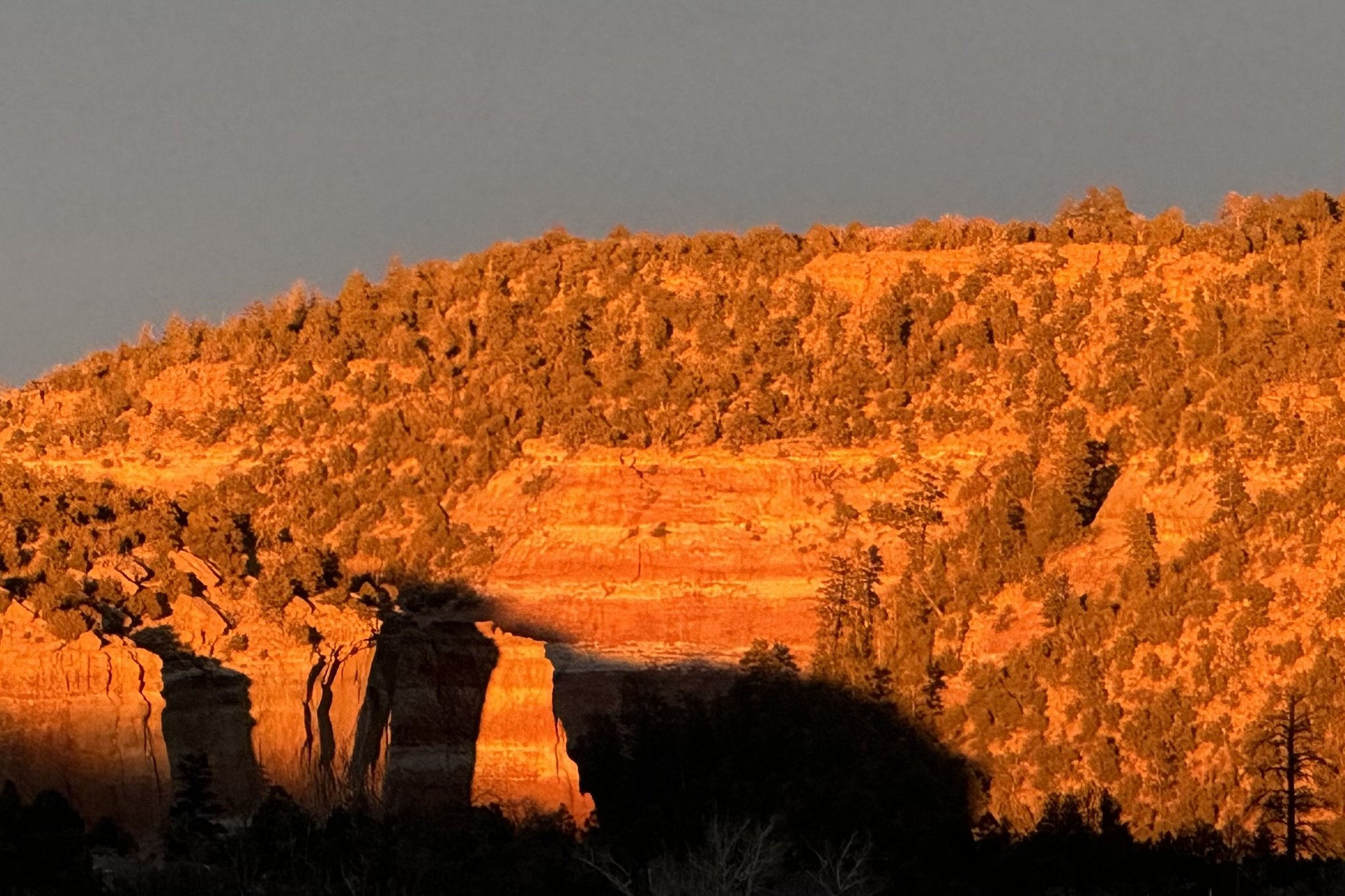 January's Long Shadows