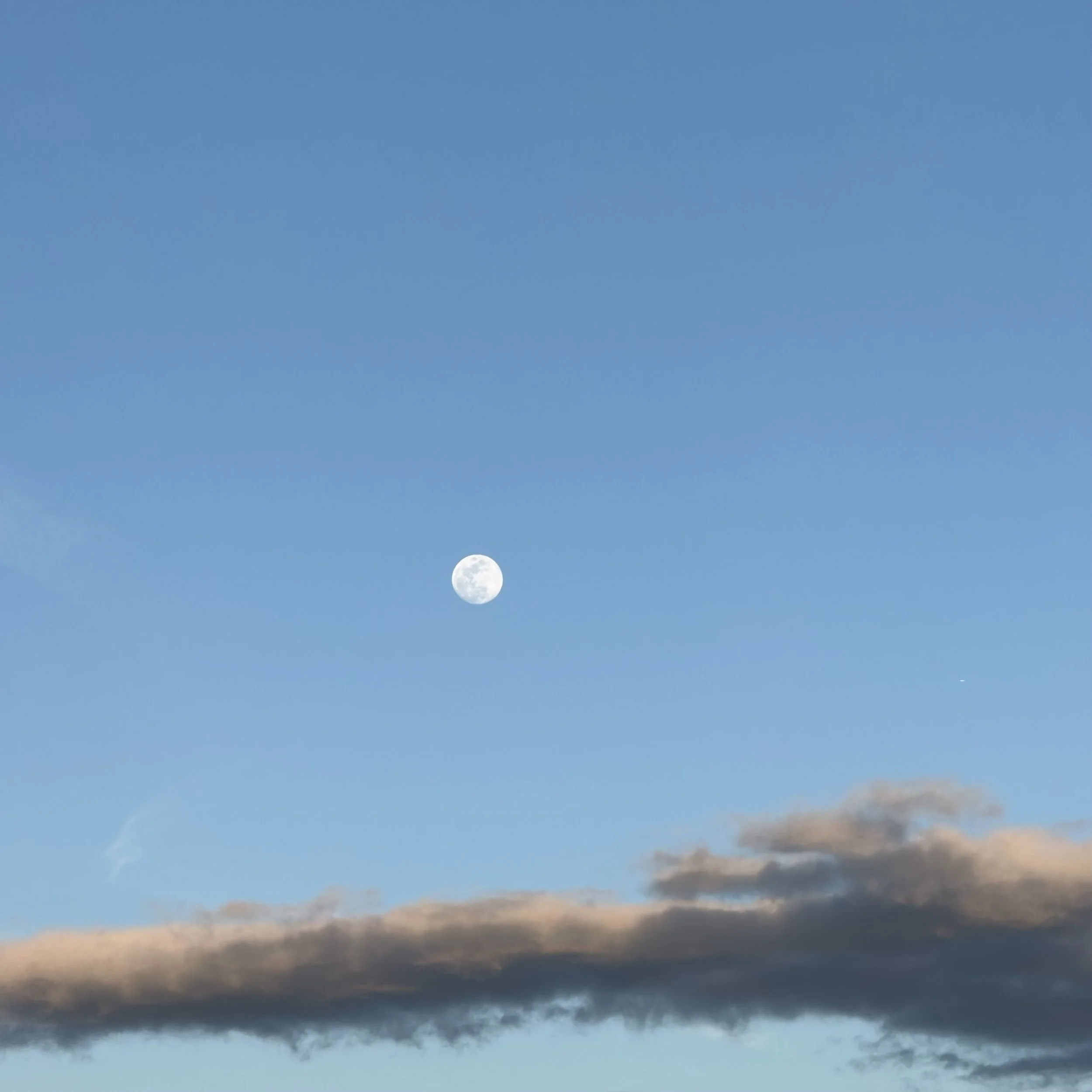 IMG_6580 2.jpeg