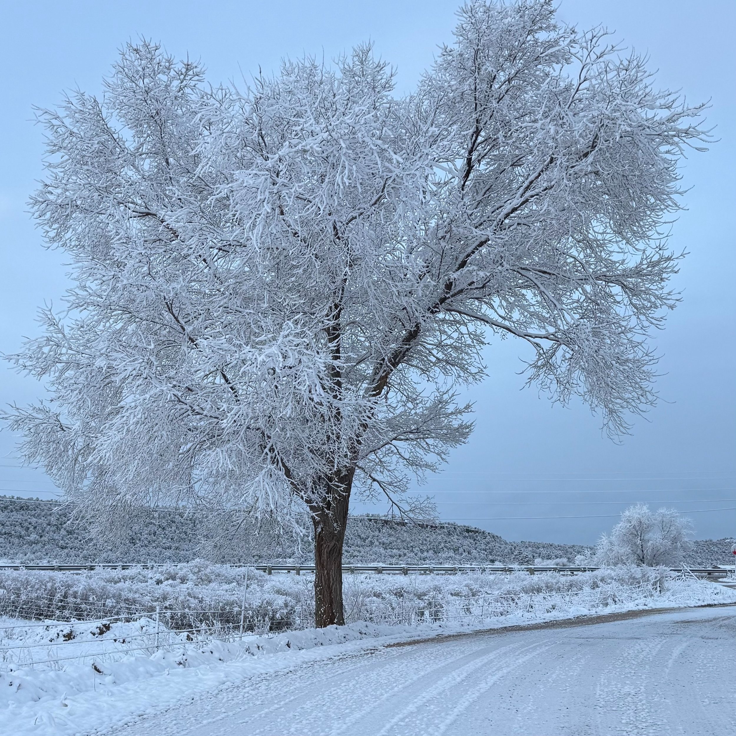 April (snow) Showers