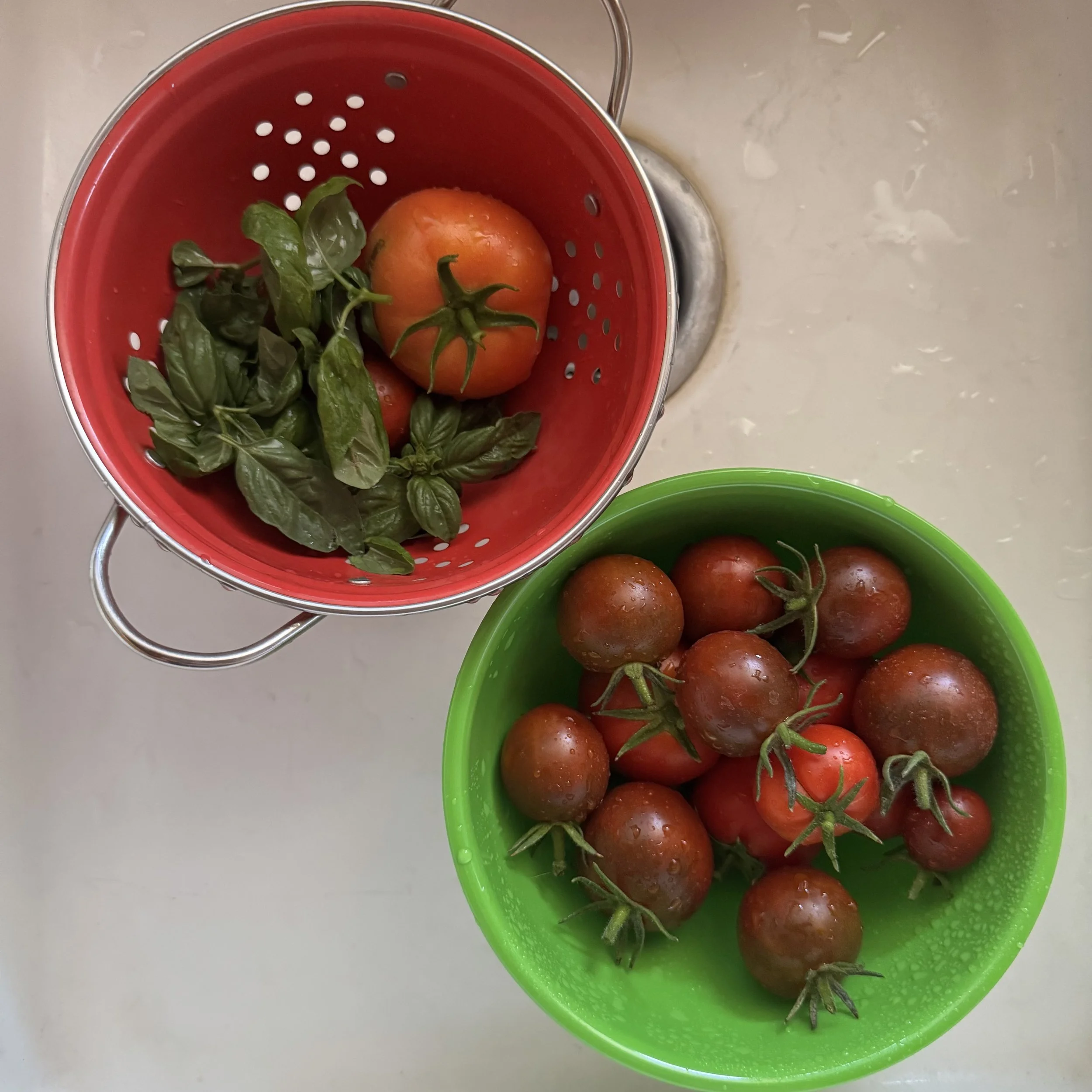 IMG_0117.jpeg
