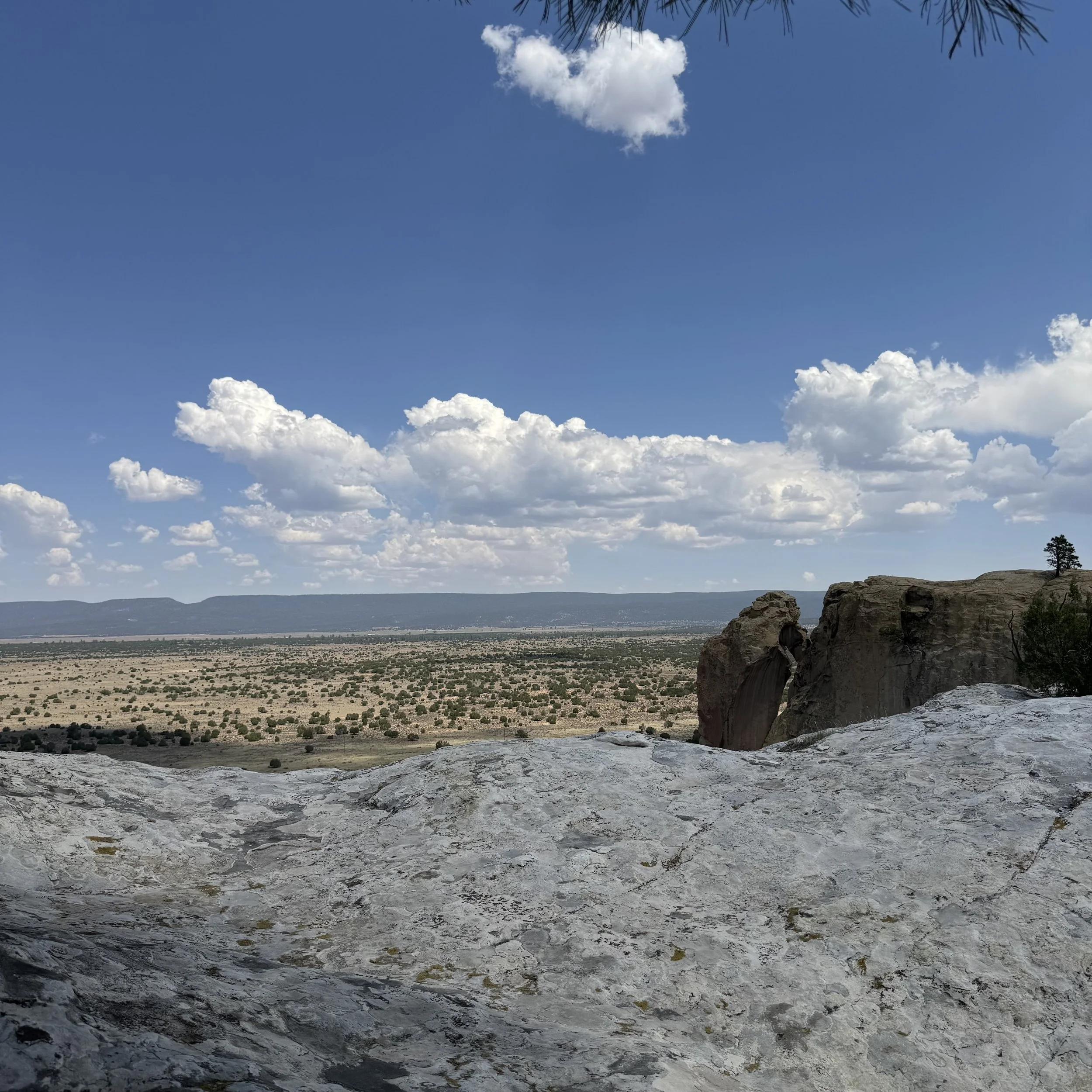 Plein Air and Puddles