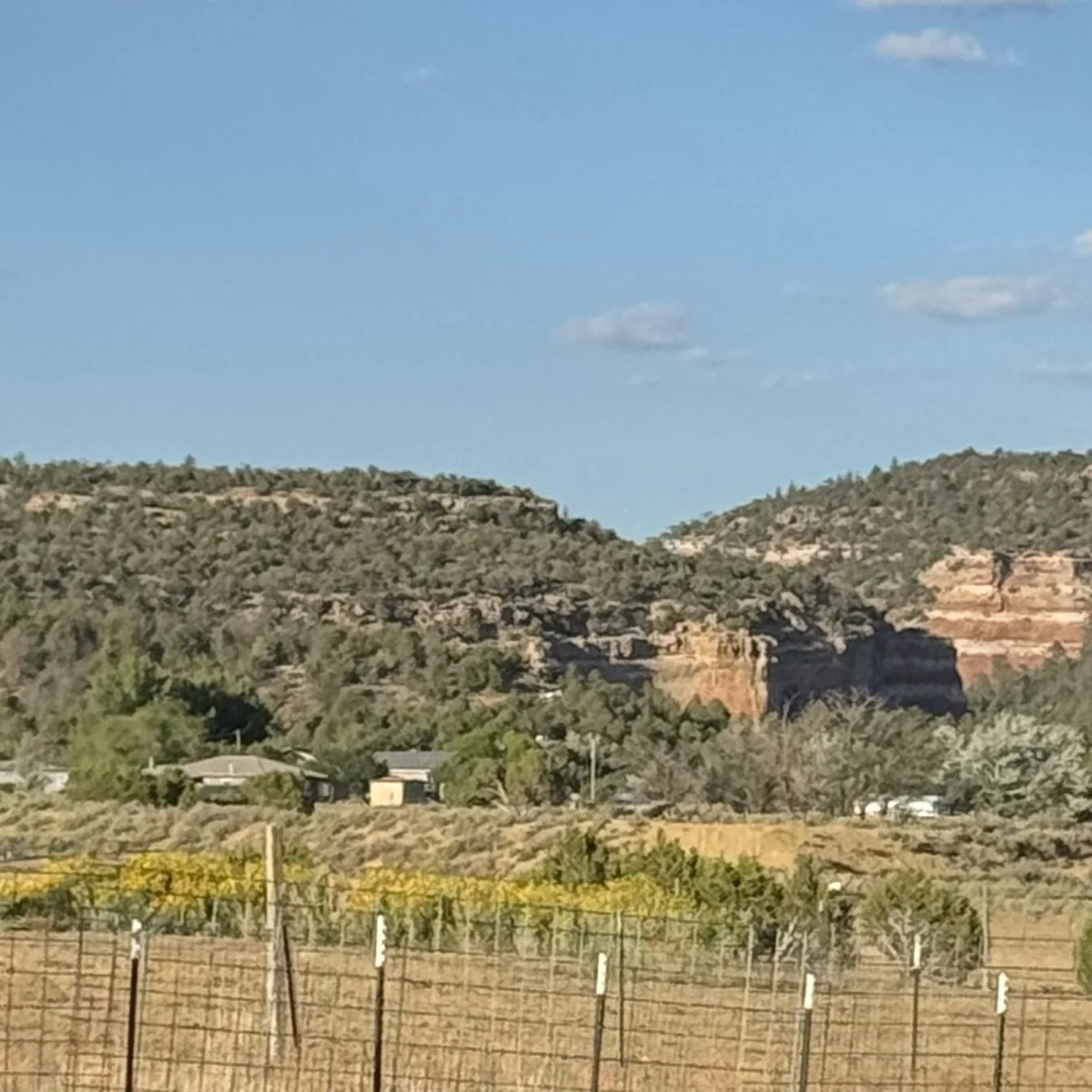 IMG_0981.jpeg