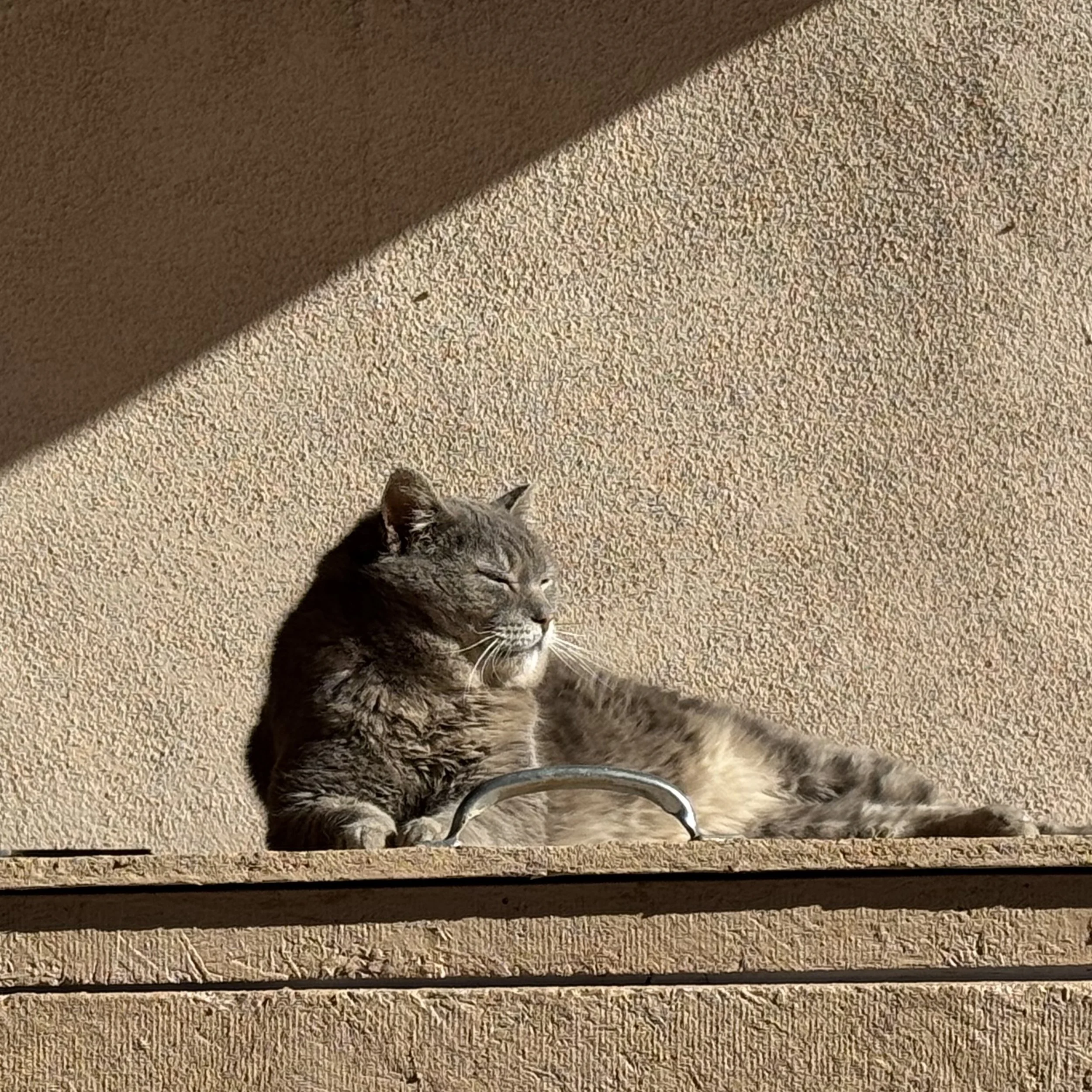 IMG_4302.jpeg