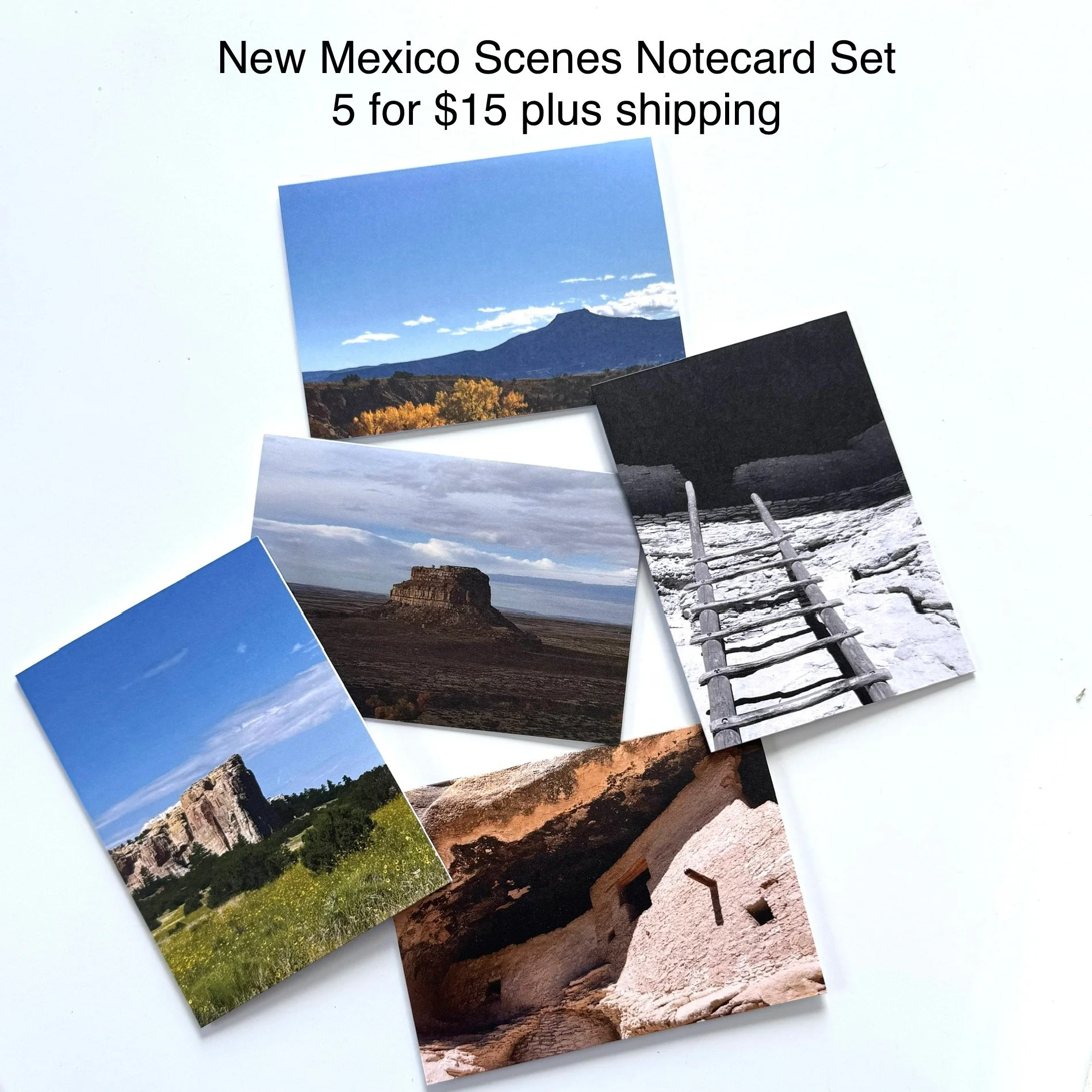 NM photo cards.jpeg