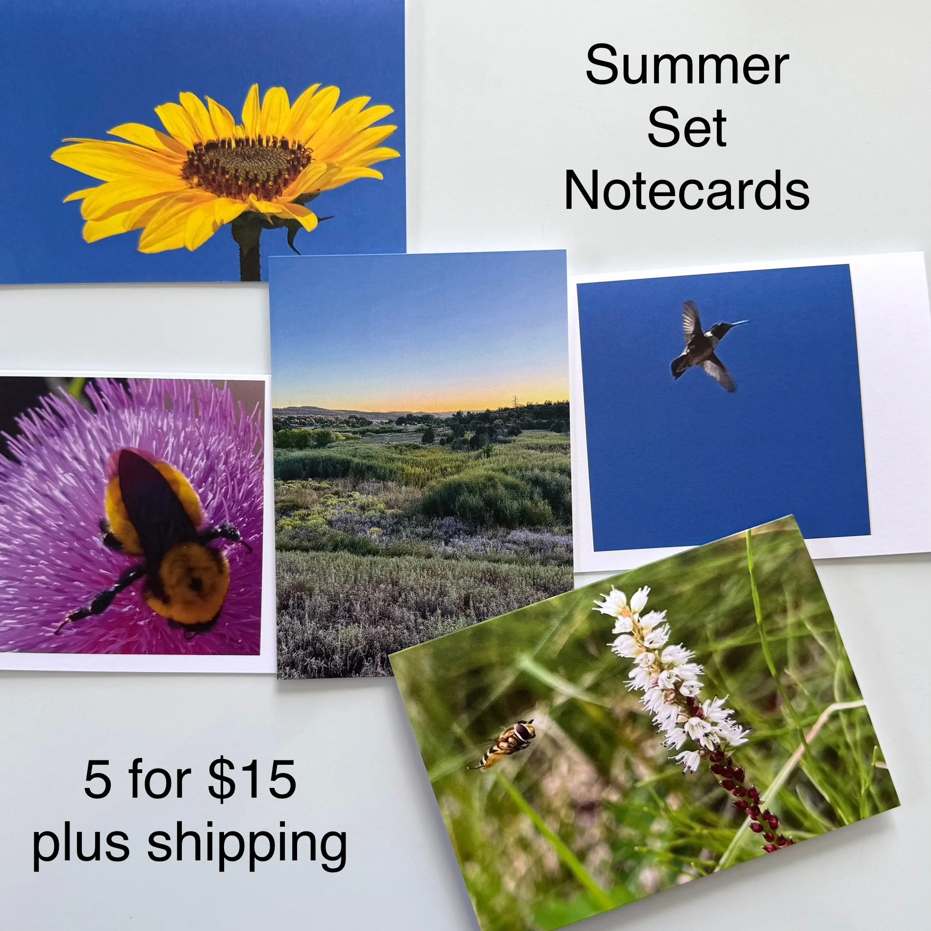 summer set.jpeg