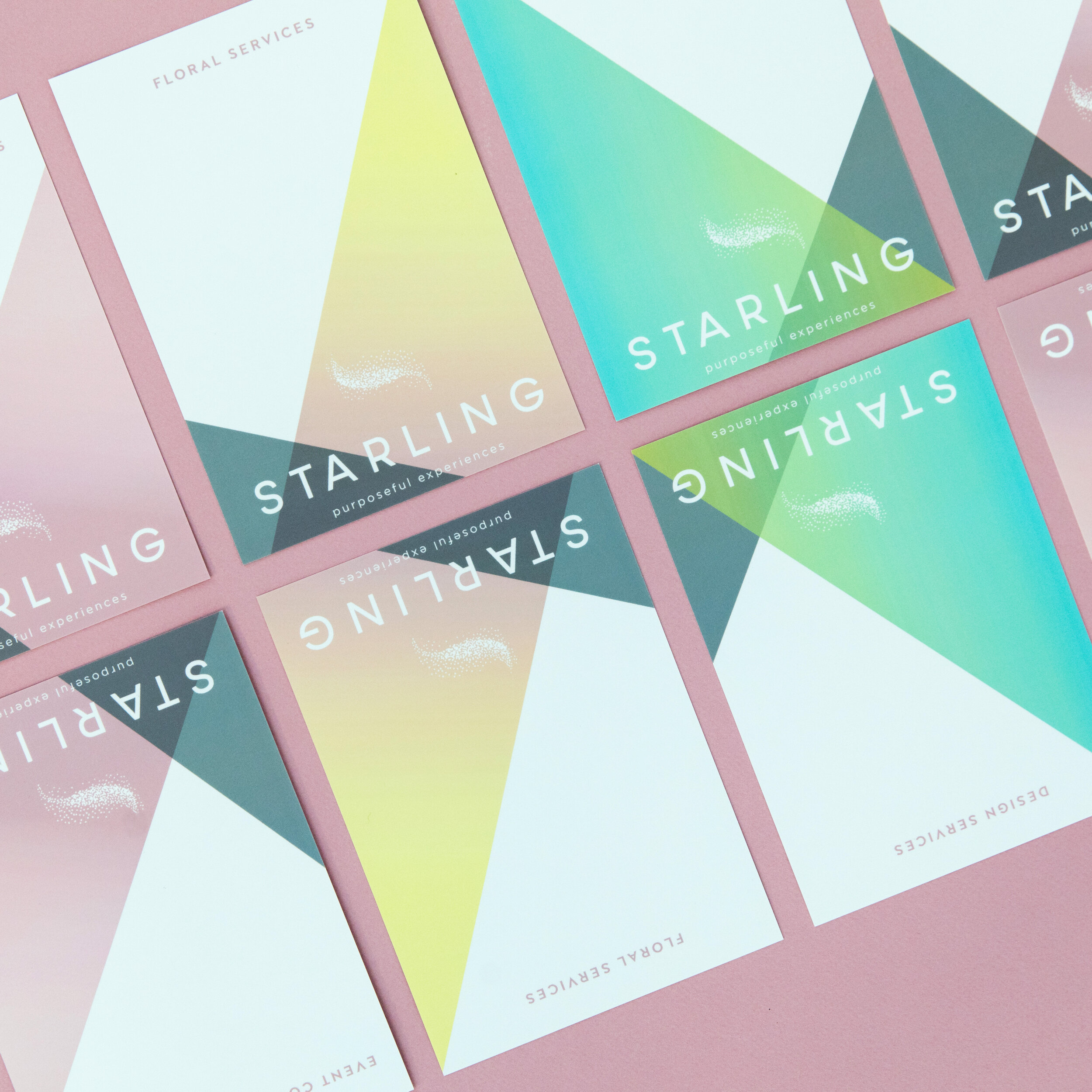 Starling-Paper-9315-Edit.jpg
