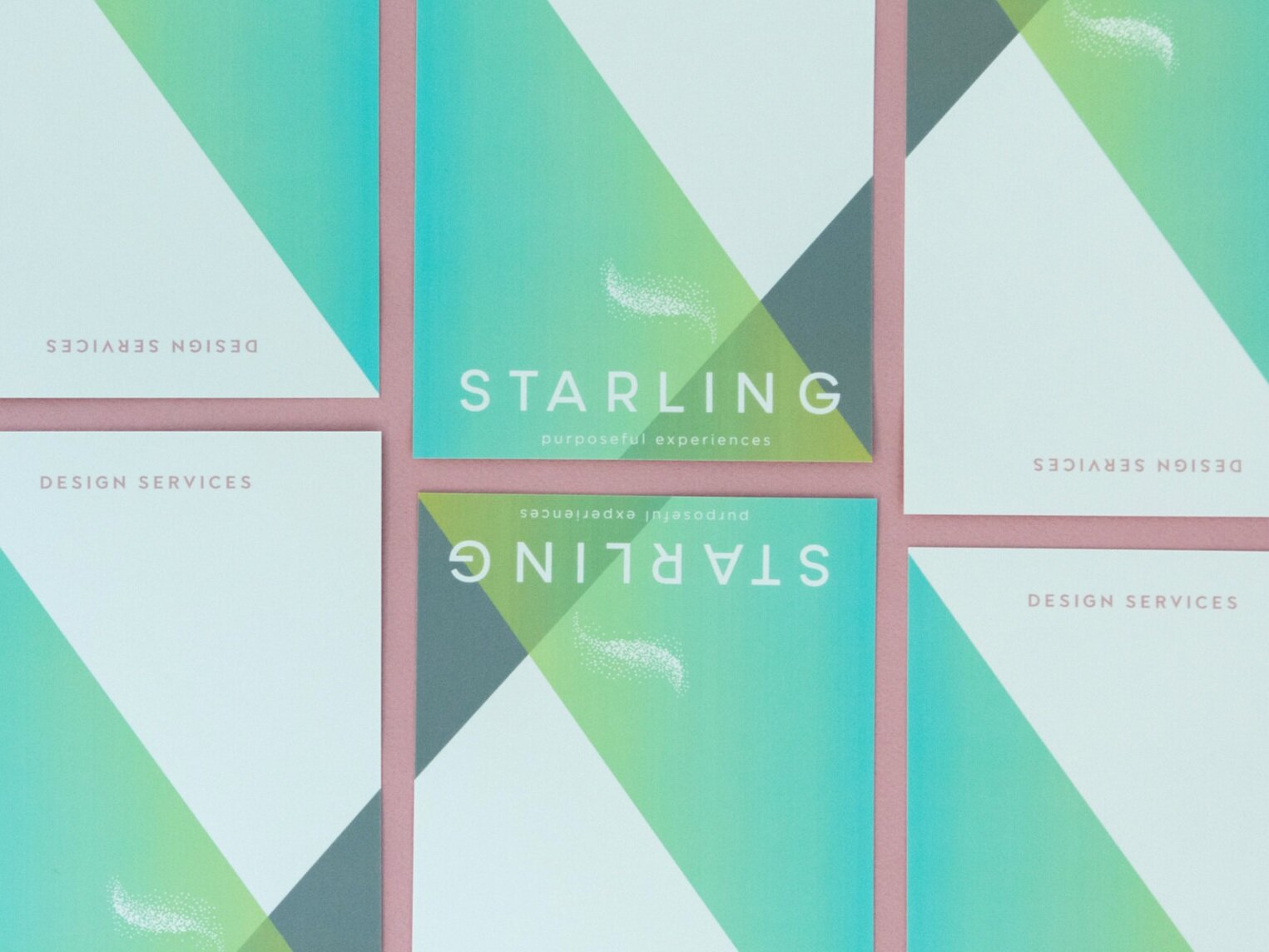 Starling-Paper-9340-Edit.jpg