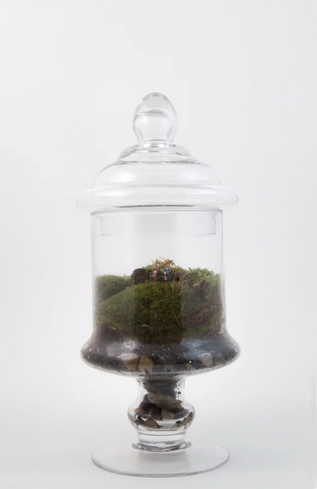 Ladies_Terrarium lo res.jpg