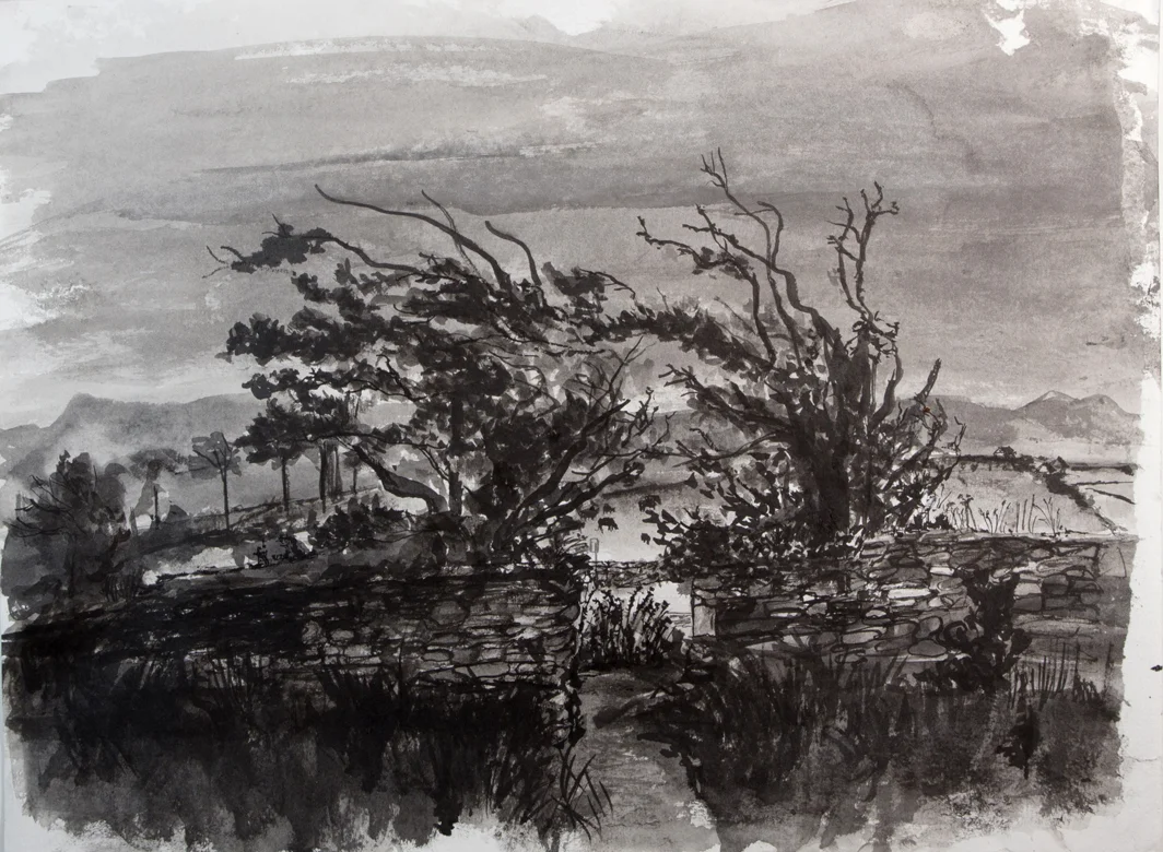 Ballintaggart Field 2 lo res.jpg
