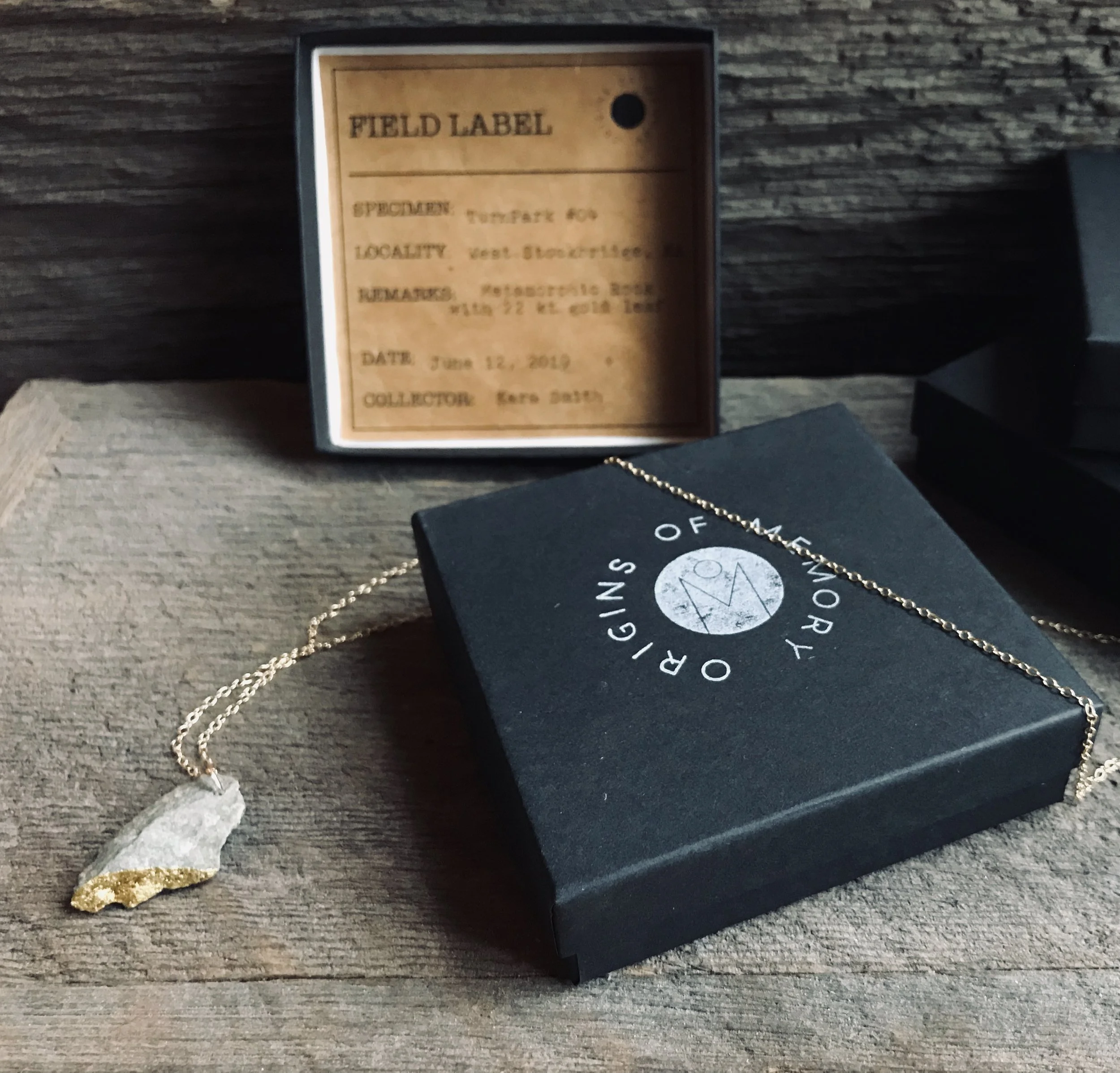 TurnPark Specimens Jewelry Line_2.jpg