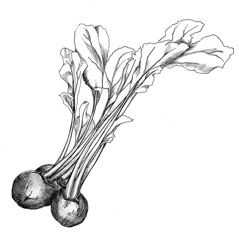 Beets me