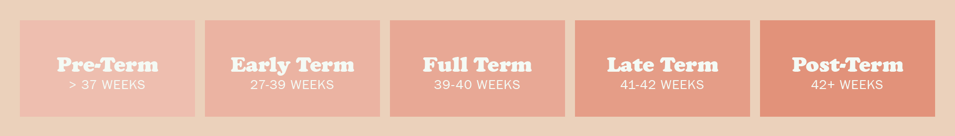 TermPregnancy3.png