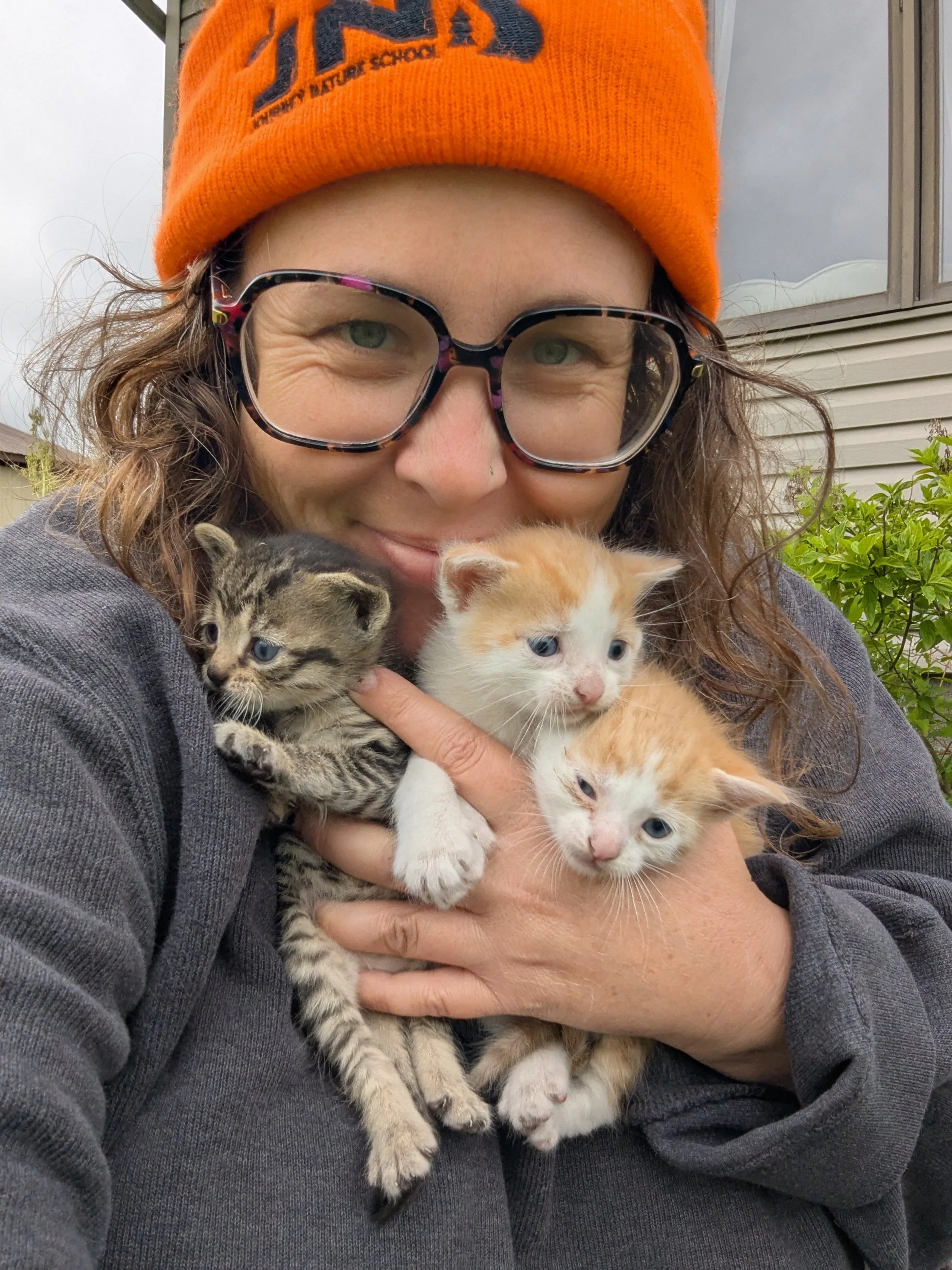 A woman with curly hair, wearing glasses and an orange hat, smiling and holding three kittens, one gray tabby and two orange and white, outside near a house with a window and greenery.