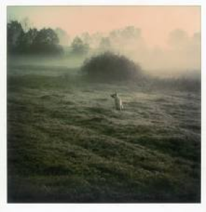tarkovsky1.jpg