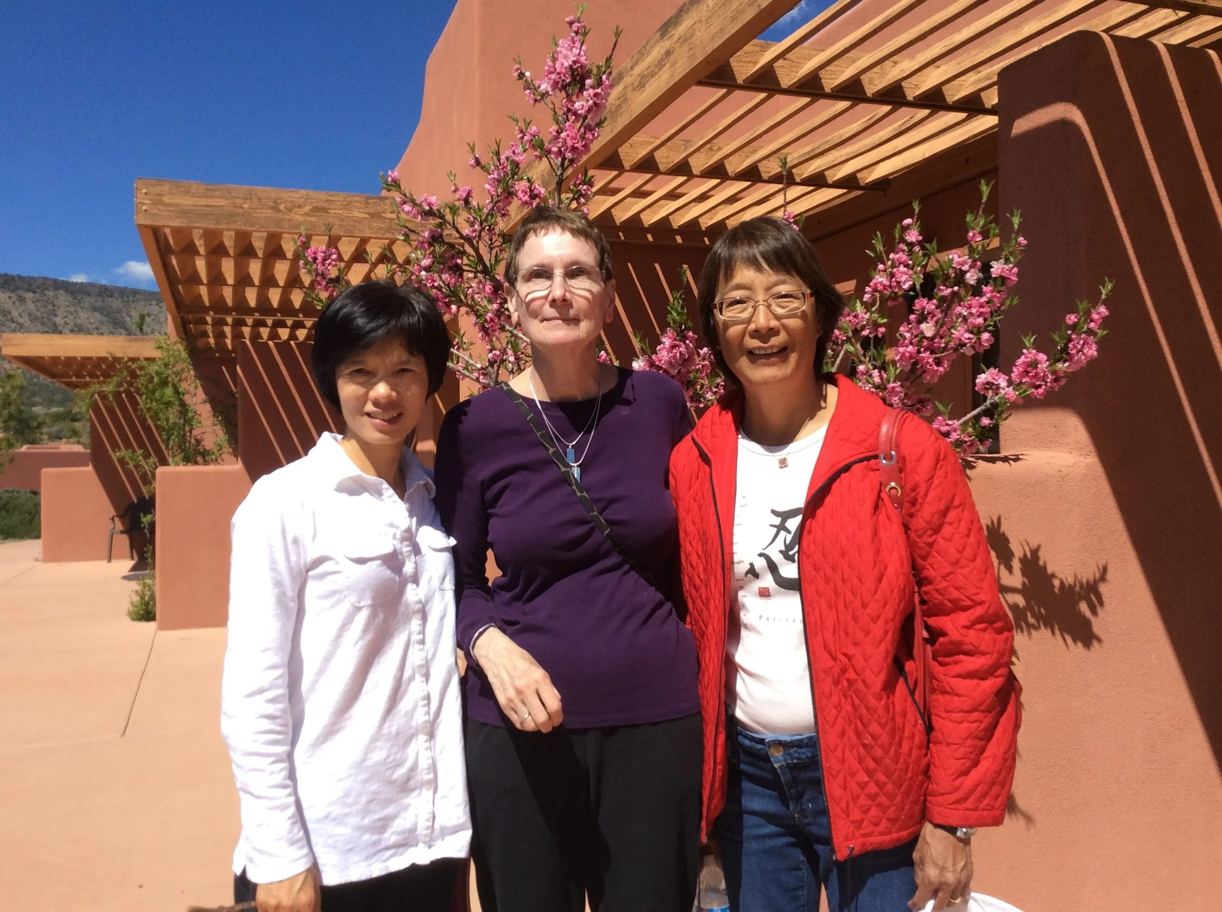 Xie Ling Welch's Sedona Qi Gong Retreat, 2015