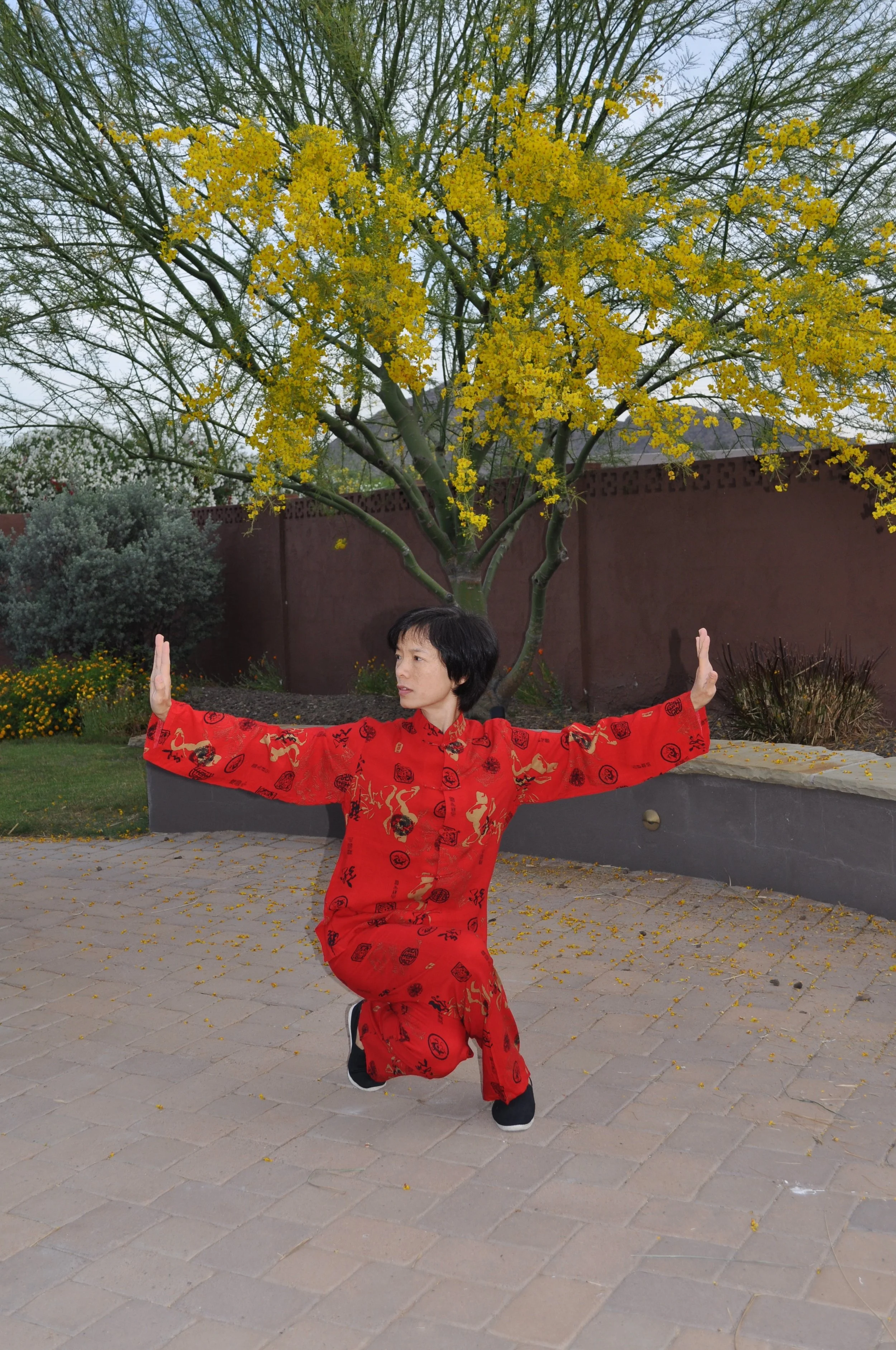 Xie Ling Qi Gong Demonstration