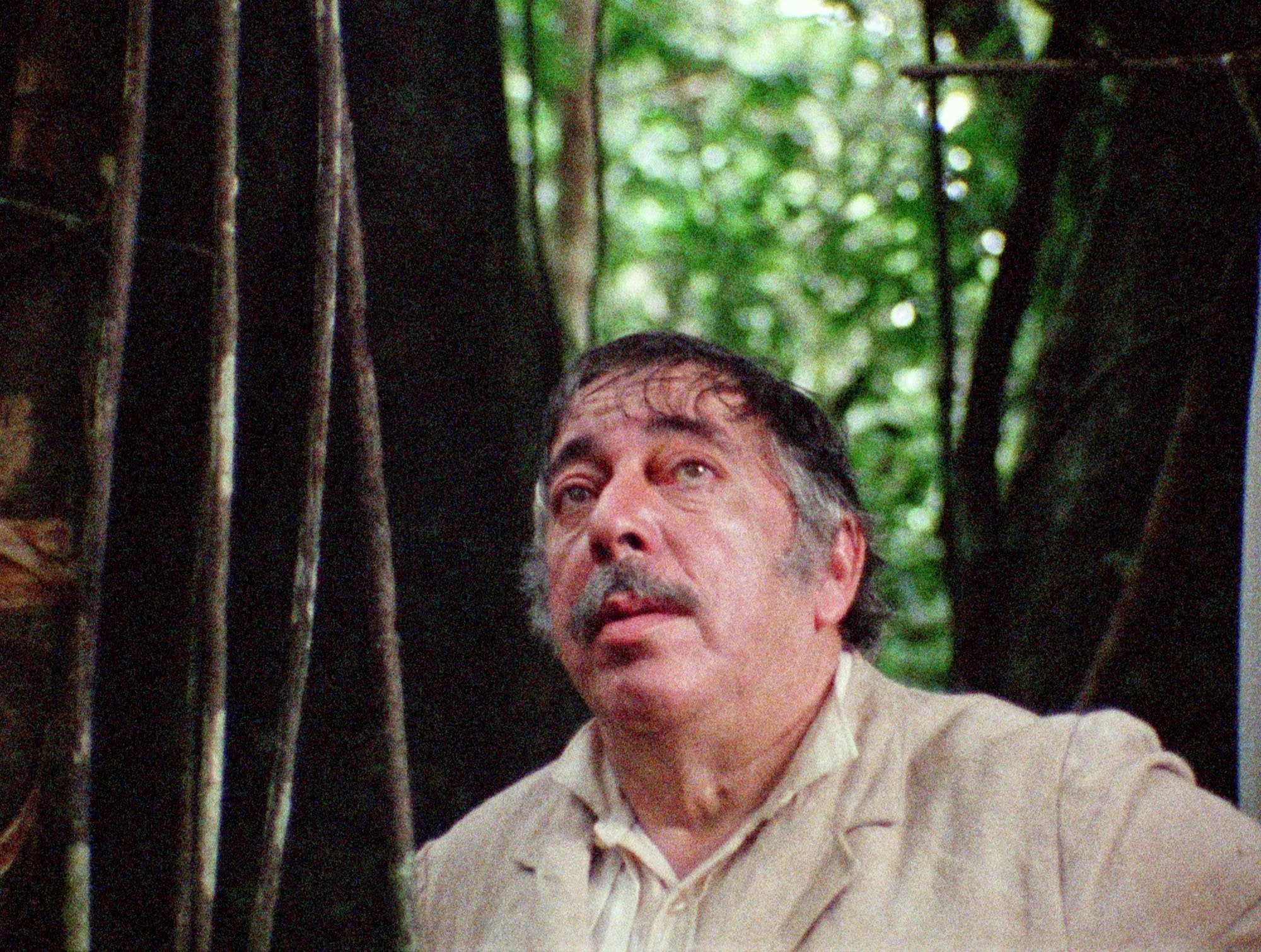 José Lewgoy.jpg