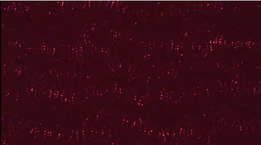 10.png