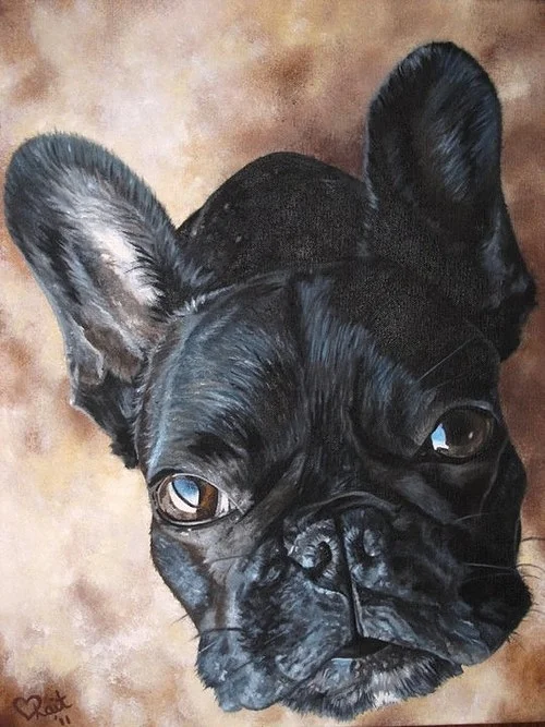 Frankie