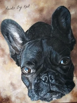 " Frankie"