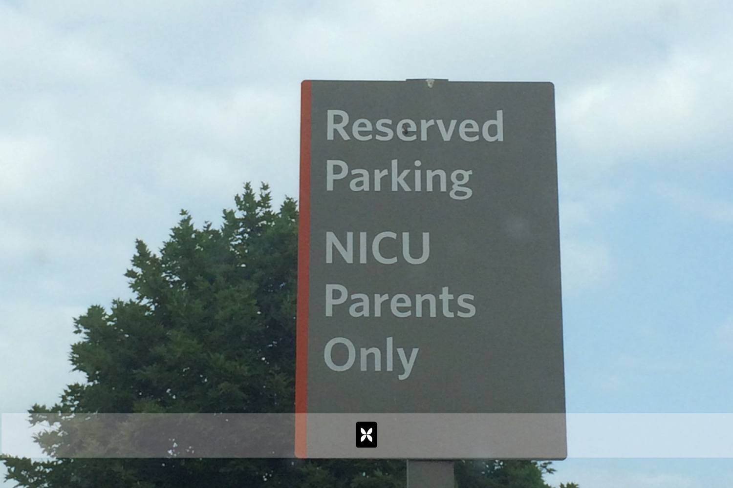 Around lunch time everyday, we head to the hospital for our first bottle feeding. Sometimes, we get lucky and score a parking space up front. 