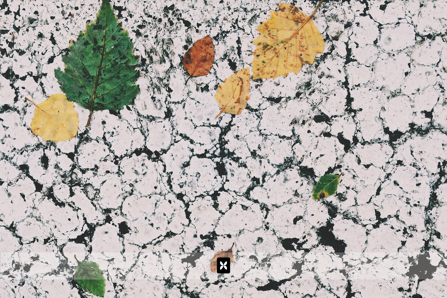 On the way out of the hospital to the car, I'm always staring at the ground looking for, what I consider to be art. 