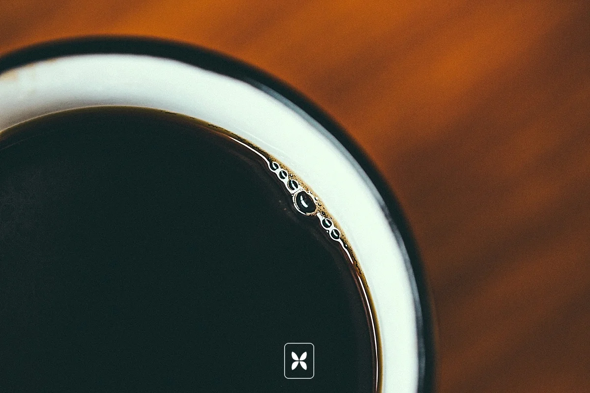 Open Door Traders | Northwest Arkansas Commercial Photography