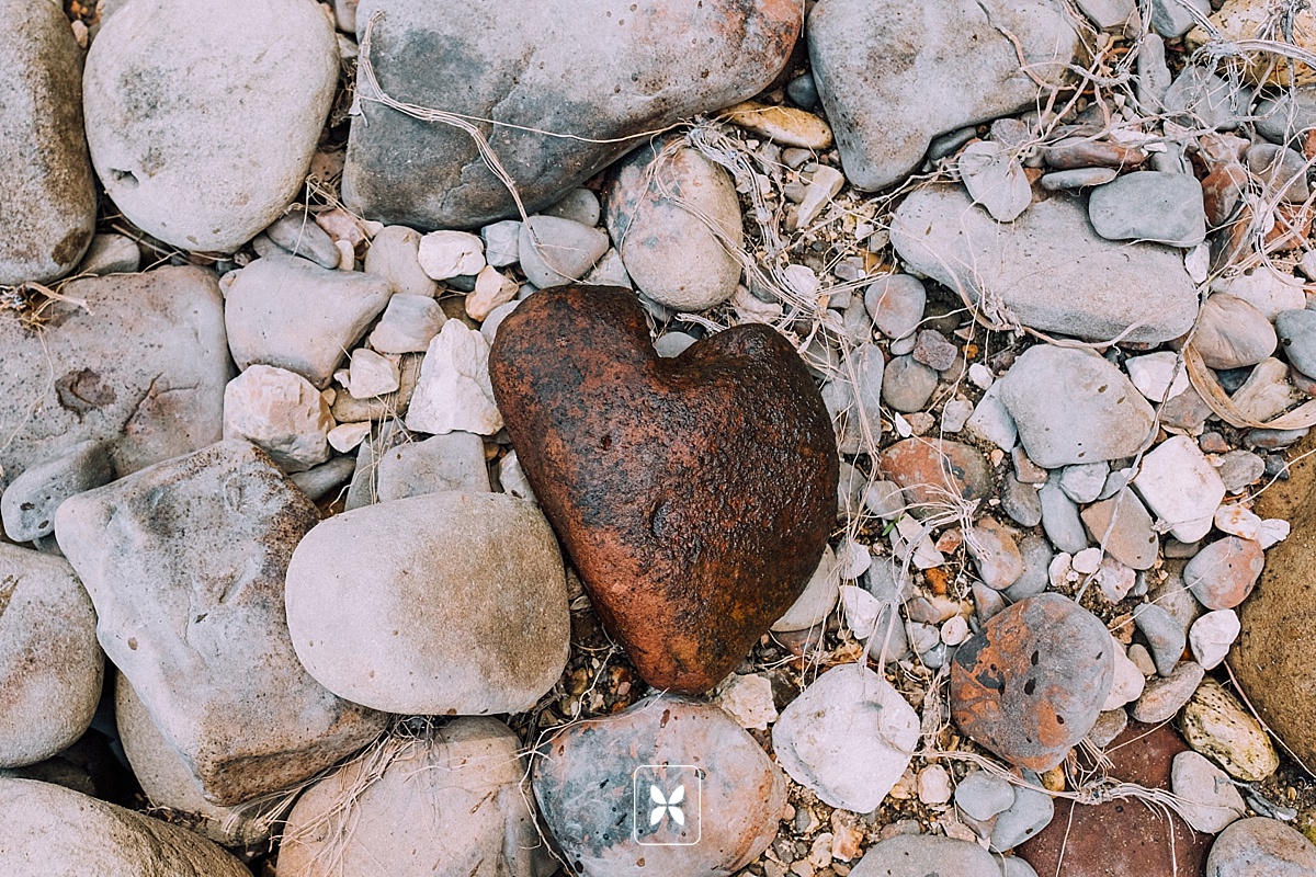 The Year in Rewind // Arkansas Wedding & Engagement Photography